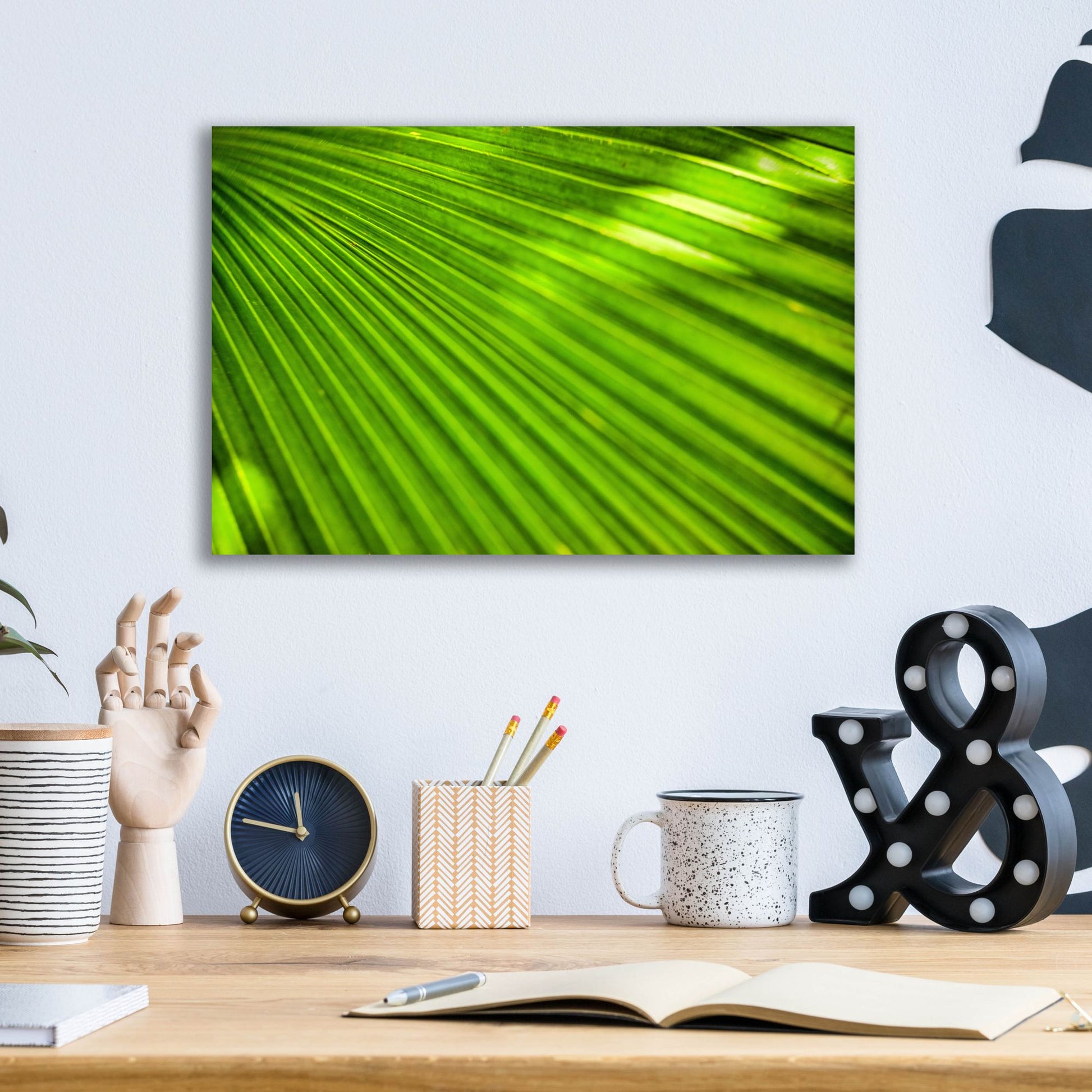 Epic Art 'Green Palm Frond' by Mark A Paulda, Acrylic Glass Wall Art,16x12