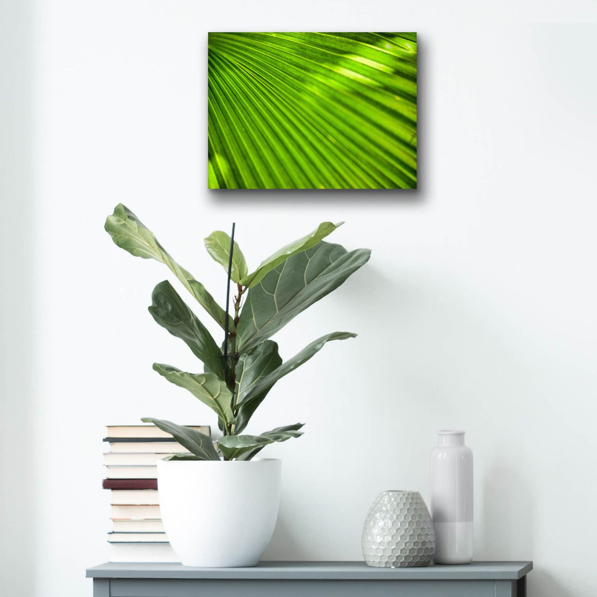 Epic Art 'Green Palm Frond' by Mark A Paulda, Acrylic Glass Wall Art,16x12