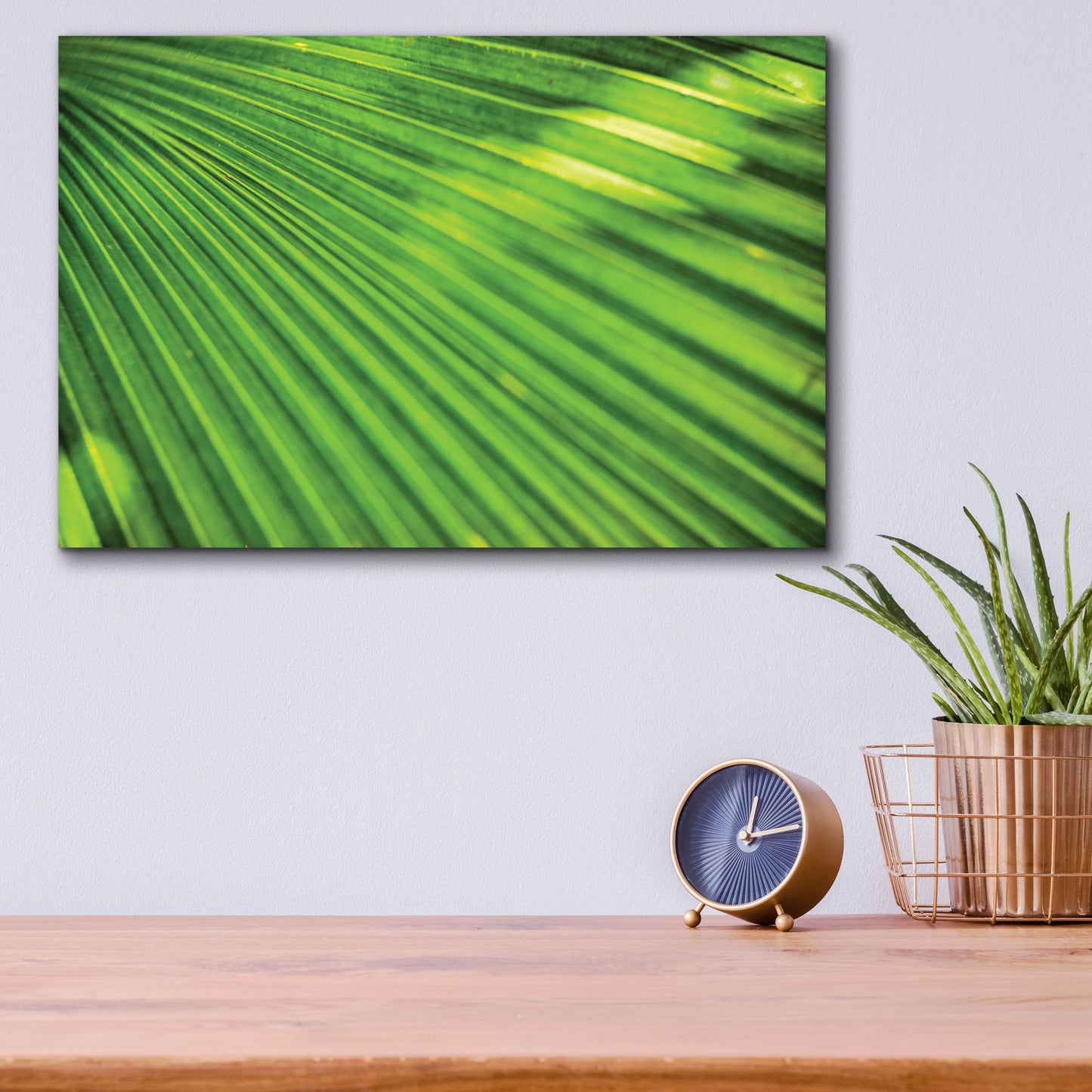 Epic Art 'Green Palm Frond' by Mark A Paulda, Acrylic Glass Wall Art,16x12