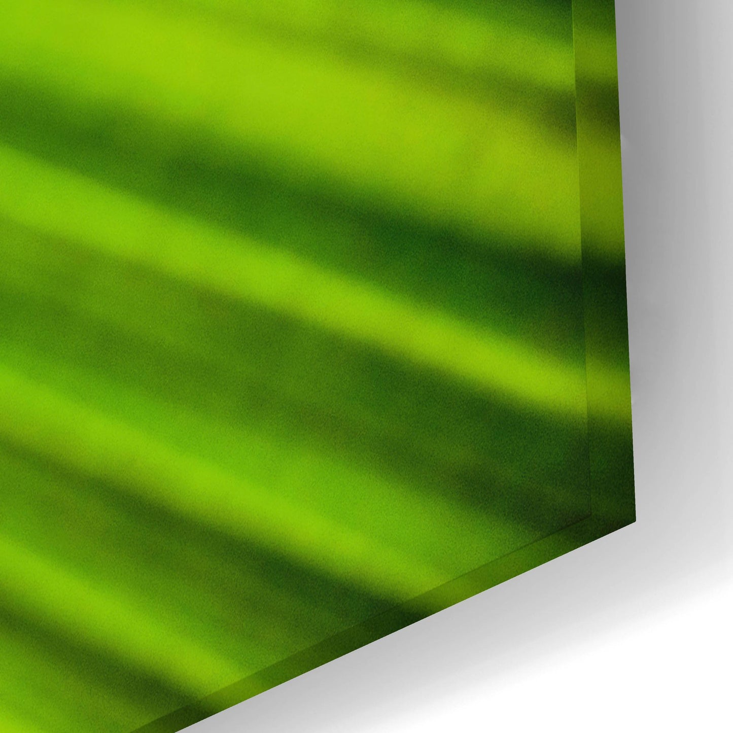 Epic Art 'Green Palm Frond' by Mark A Paulda, Acrylic Glass Wall Art,24x16