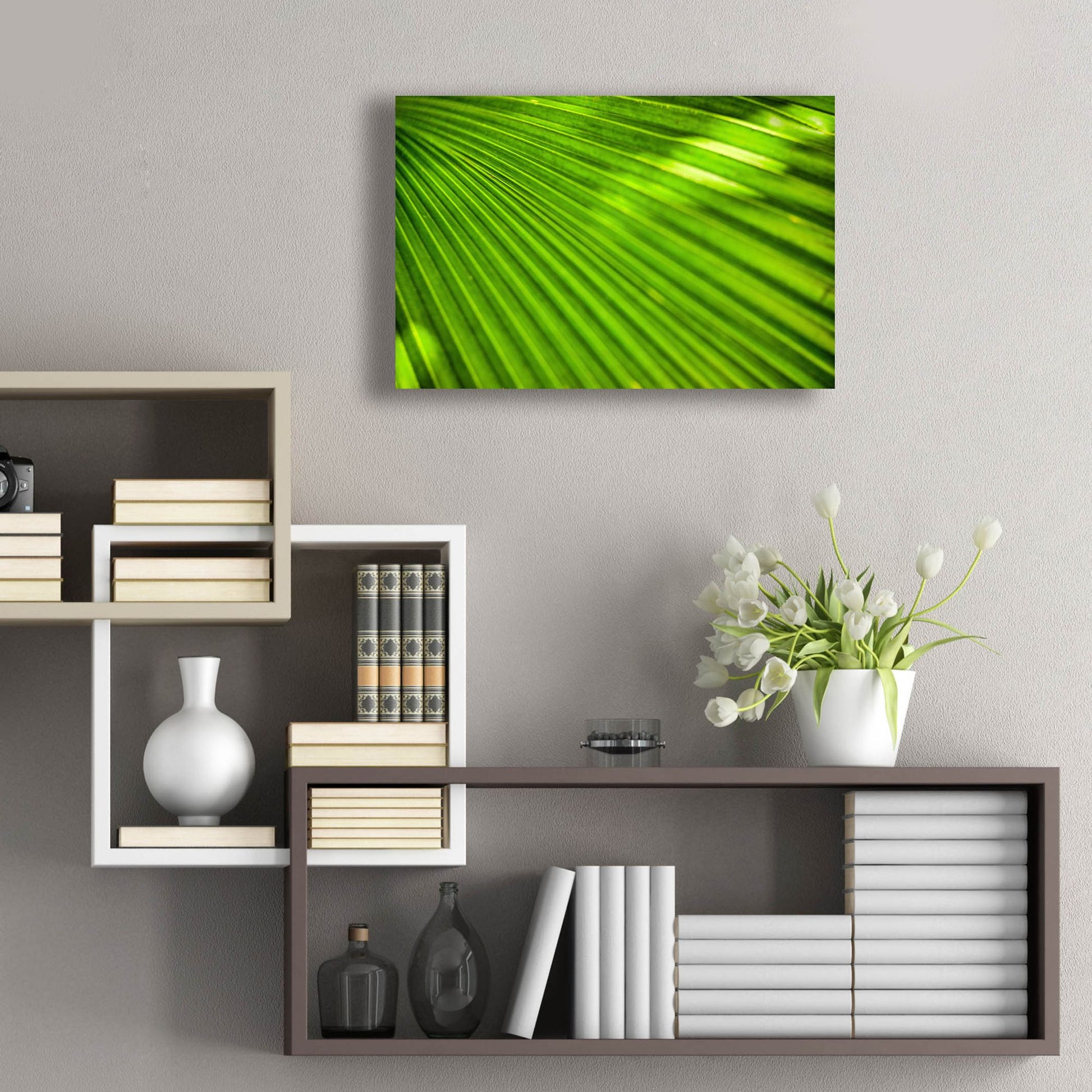 Epic Art 'Green Palm Frond' by Mark A Paulda, Acrylic Glass Wall Art,24x16