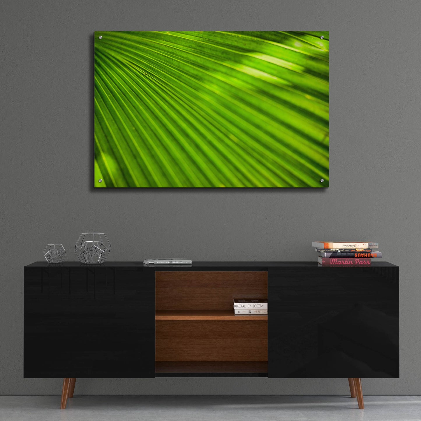 Epic Art 'Green Palm Frond' by Mark A Paulda, Acrylic Glass Wall Art,36x24