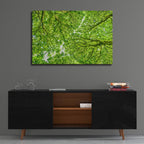 Epic Art 'Irish Green' by Mark A Paulda, Acrylic Glass Wall Art,36x24