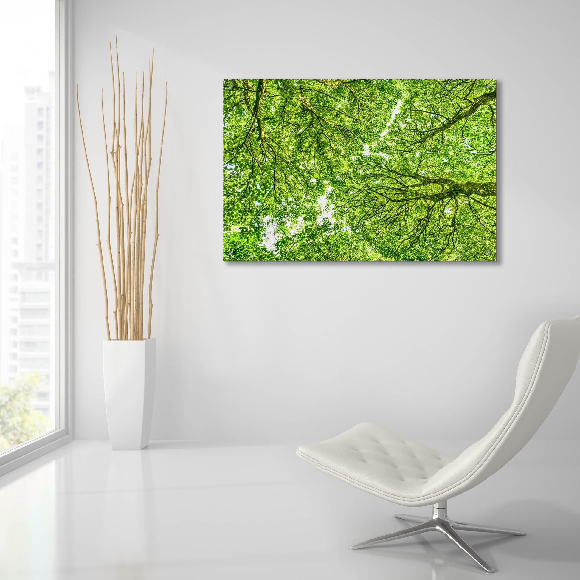 Epic Art 'Irish Green' by Mark A Paulda, Acrylic Glass Wall Art,36x24