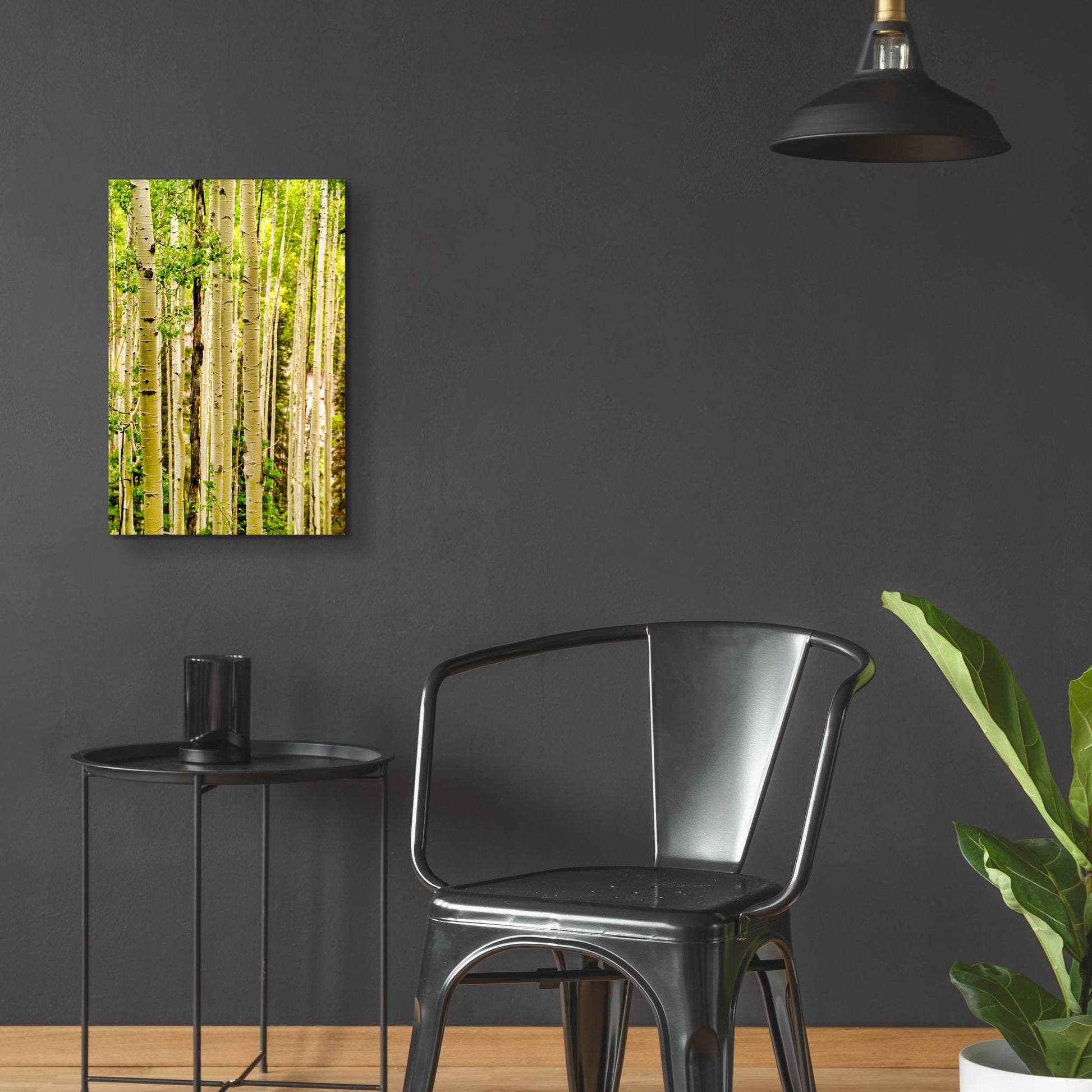 Epic Art 'Spring Aspens' by Mark A Paulda, Acrylic Glass Wall Art,16x24