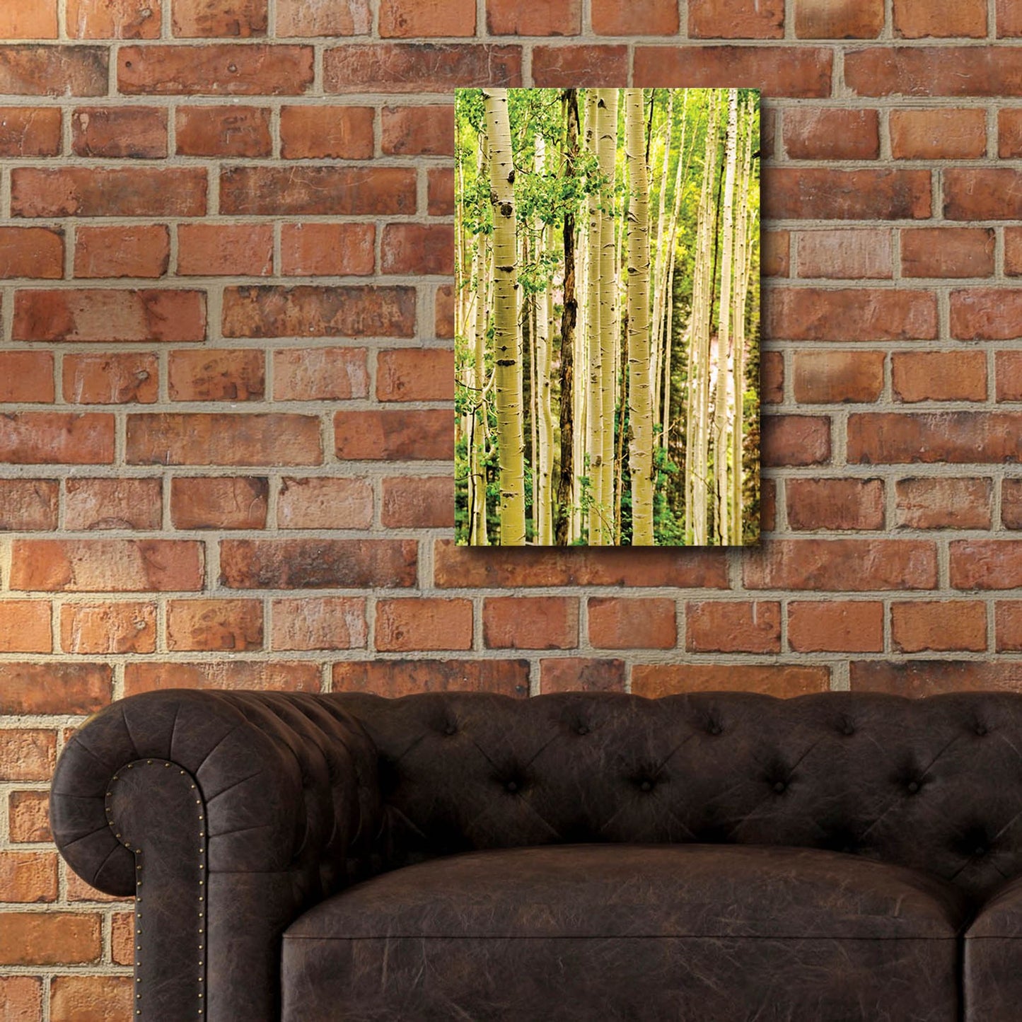 Epic Art 'Spring Aspens' by Mark A Paulda, Acrylic Glass Wall Art,16x24