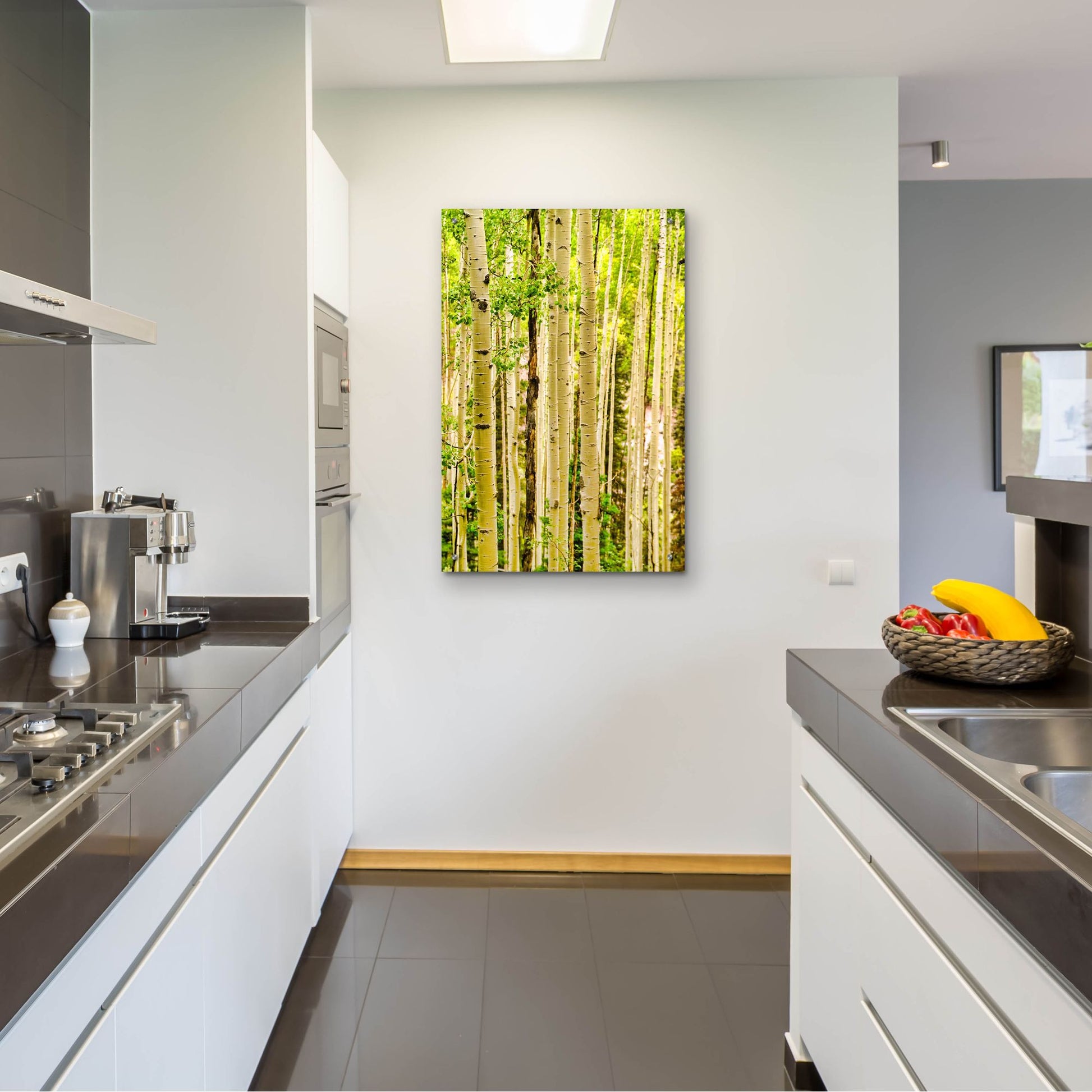 Epic Art 'Spring Aspens' by Mark A Paulda, Acrylic Glass Wall Art,24x36