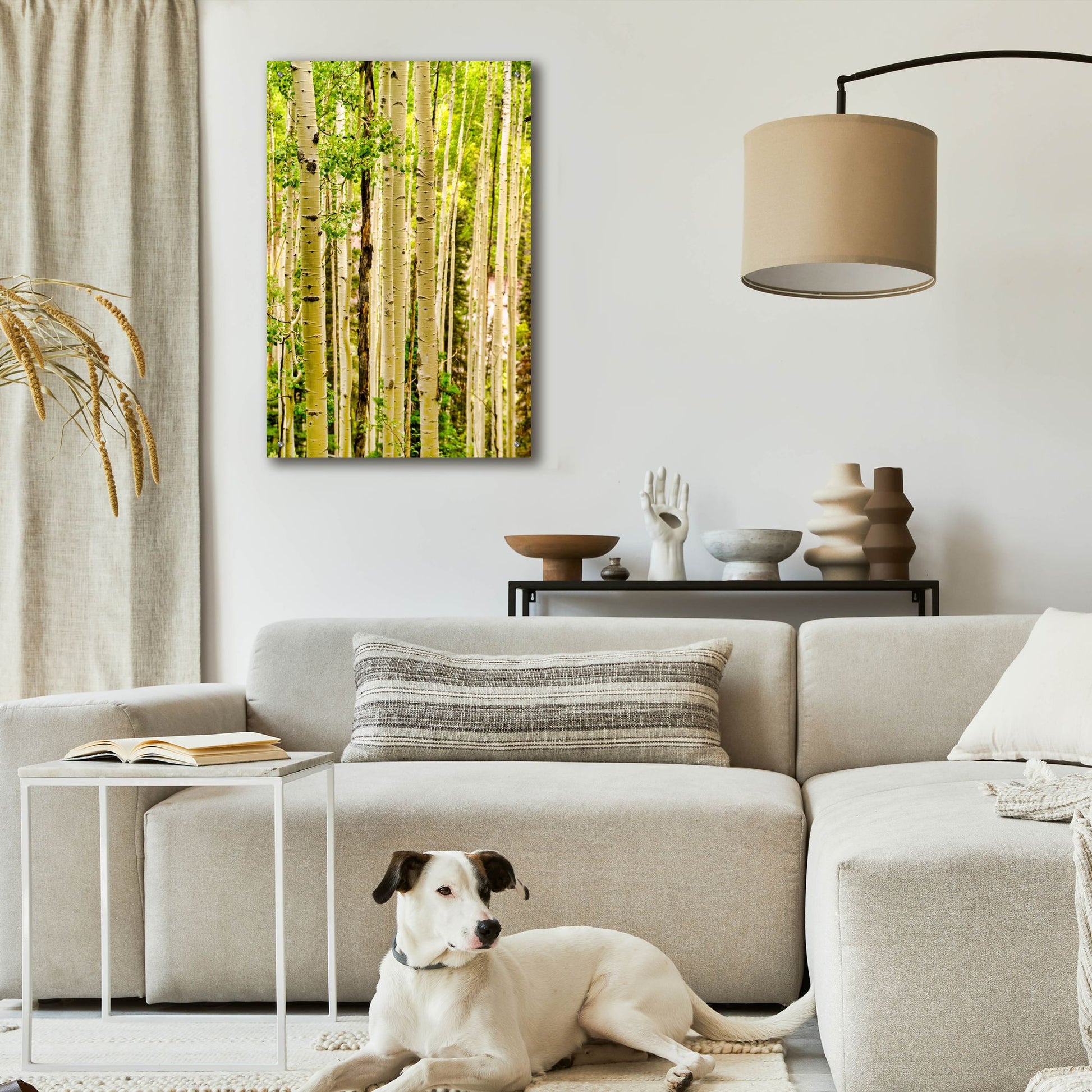 Epic Art 'Spring Aspens' by Mark A Paulda, Acrylic Glass Wall Art,24x36