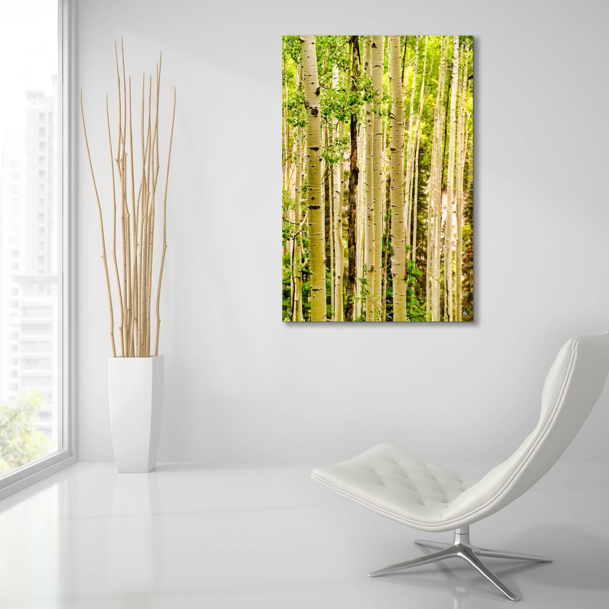 Epic Art 'Spring Aspens' by Mark A Paulda, Acrylic Glass Wall Art,24x36