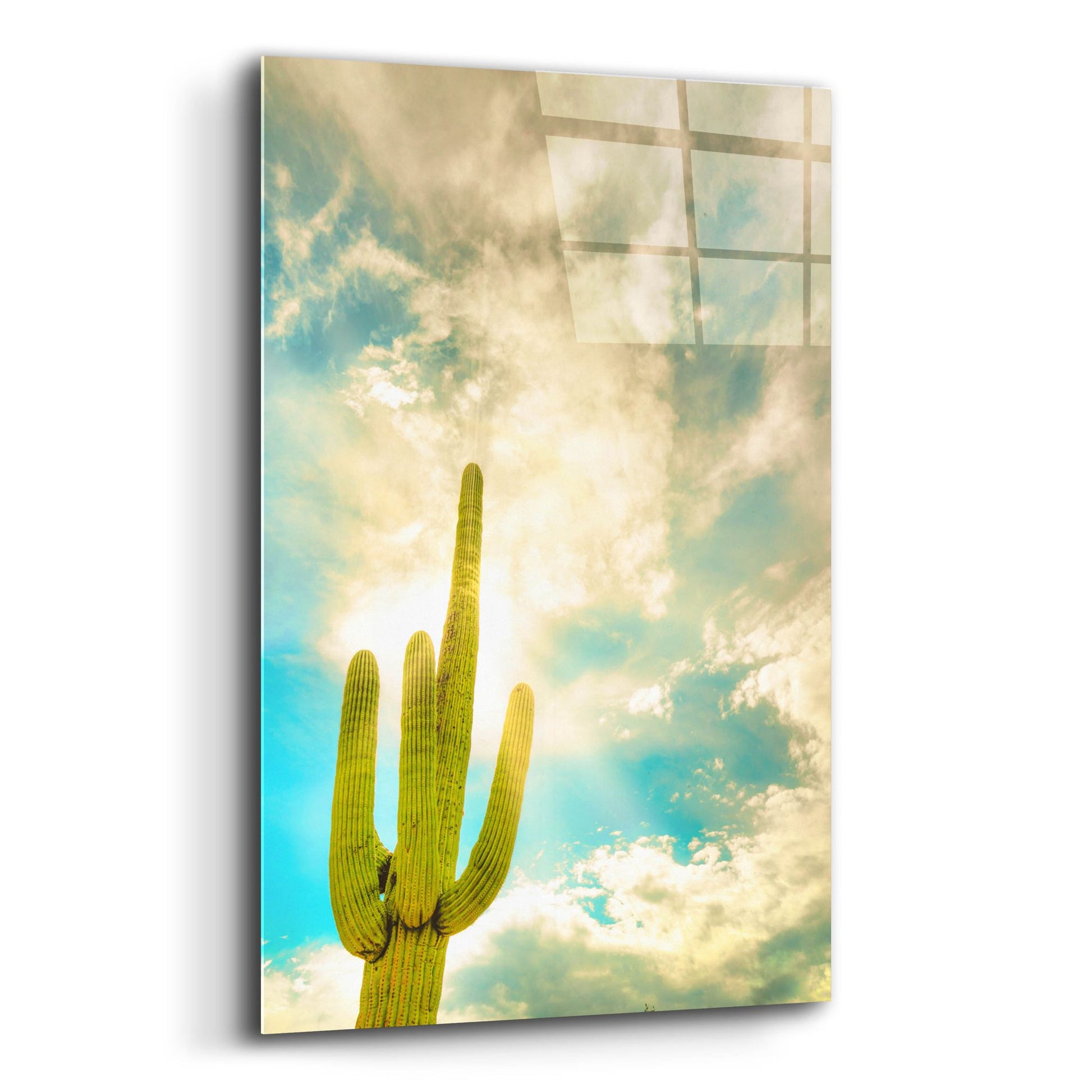 Epic Art 'Sun Burst Saguaro' by Mark A Paulda, Acrylic Glass Wall Art,12x16