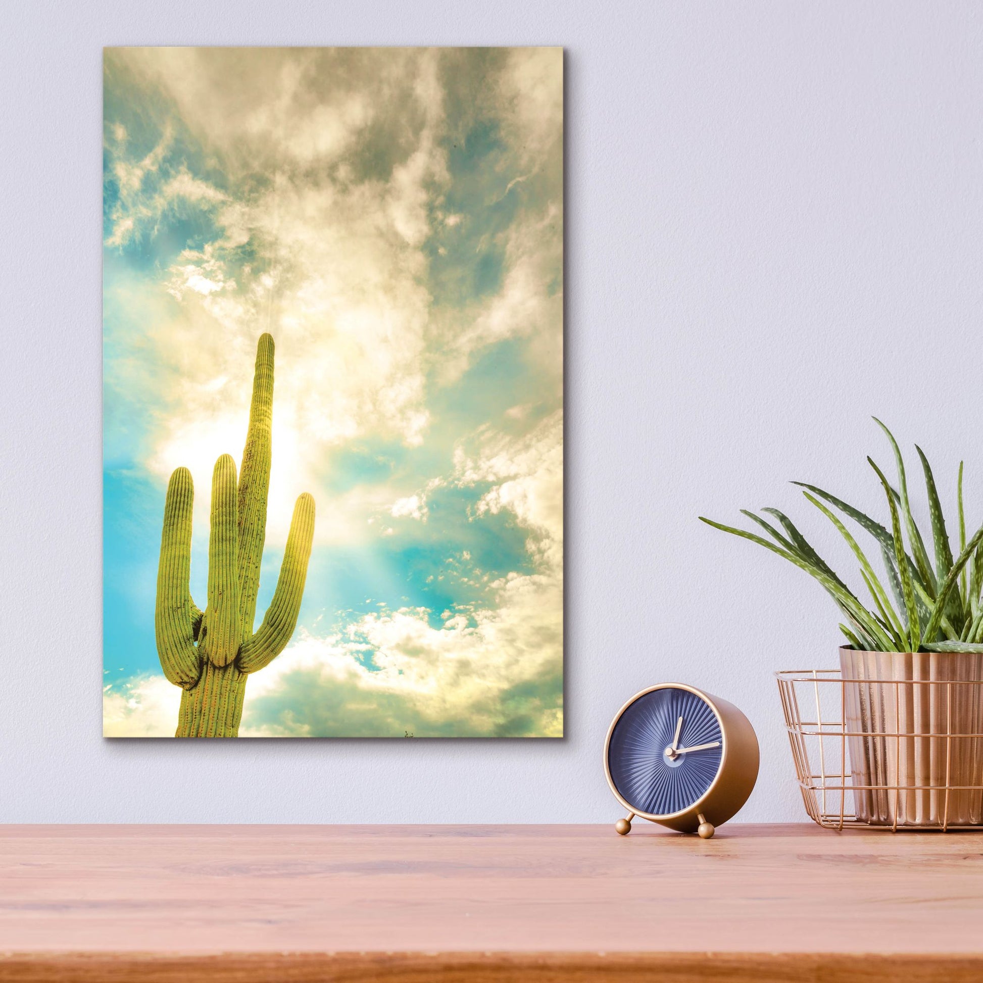 Epic Art 'Sun Burst Saguaro' by Mark A Paulda, Acrylic Glass Wall Art,12x16