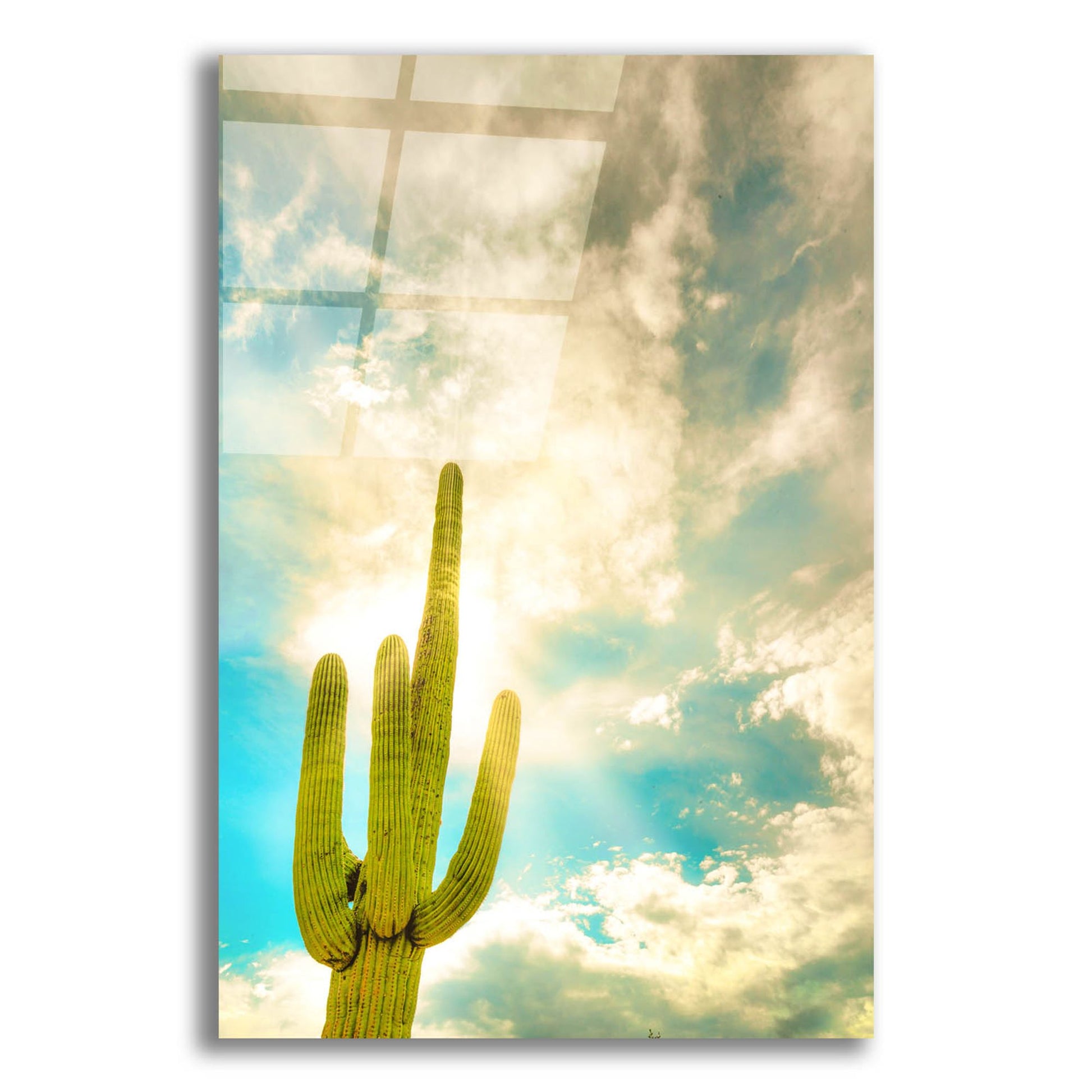 Epic Art 'Sun Burst Saguaro' by Mark A Paulda, Acrylic Glass Wall Art,12x16