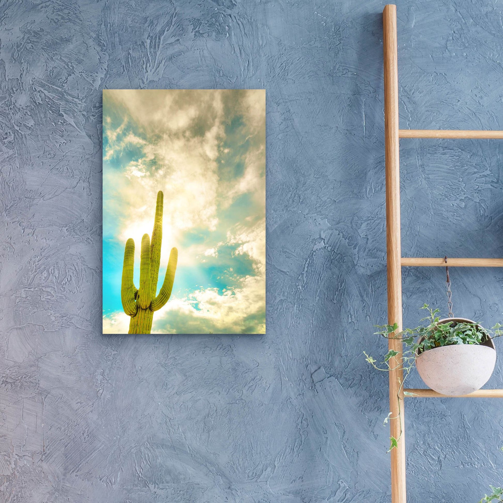 Epic Art 'Sun Burst Saguaro' by Mark A Paulda, Acrylic Glass Wall Art,16x24