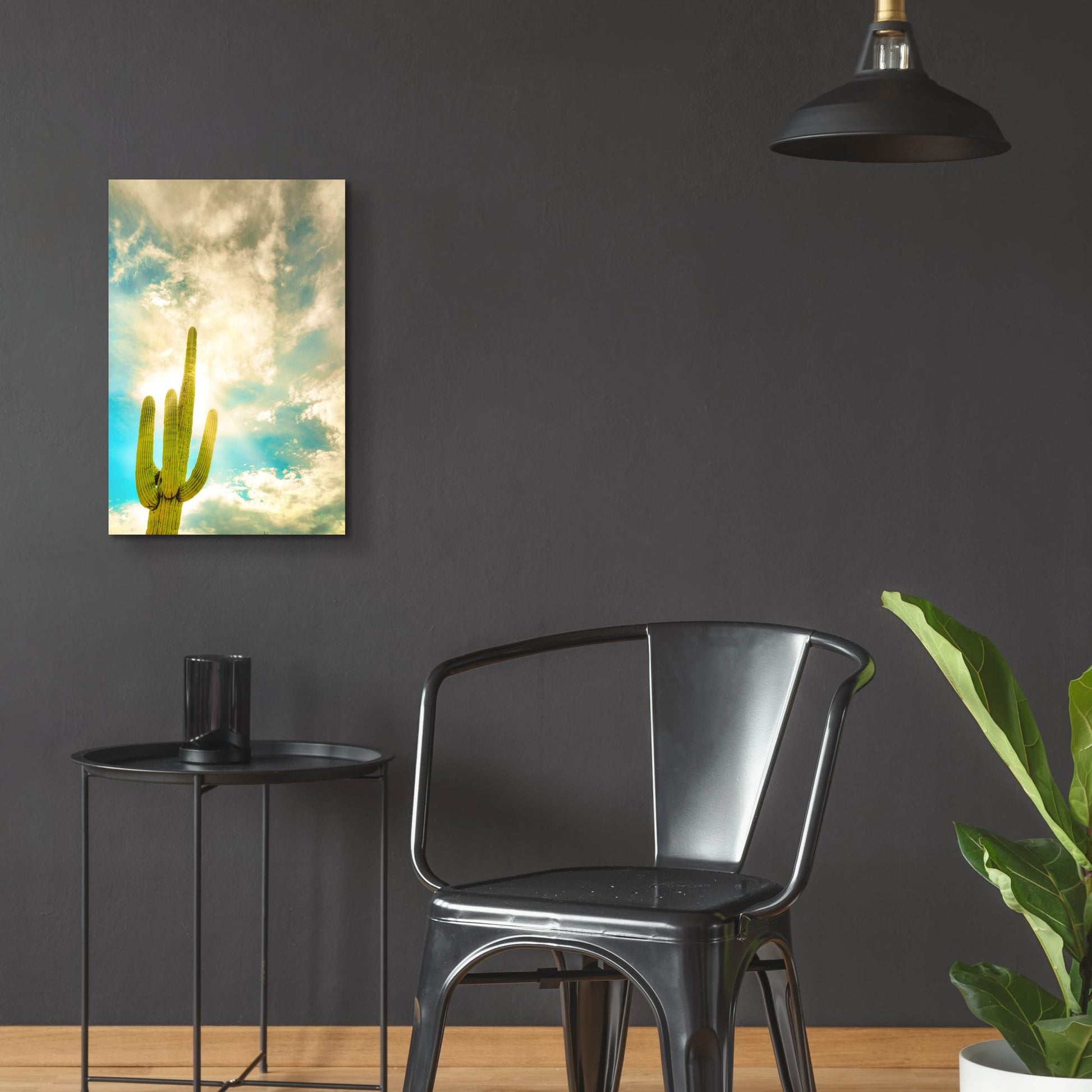 Epic Art 'Sun Burst Saguaro' by Mark A Paulda, Acrylic Glass Wall Art,16x24