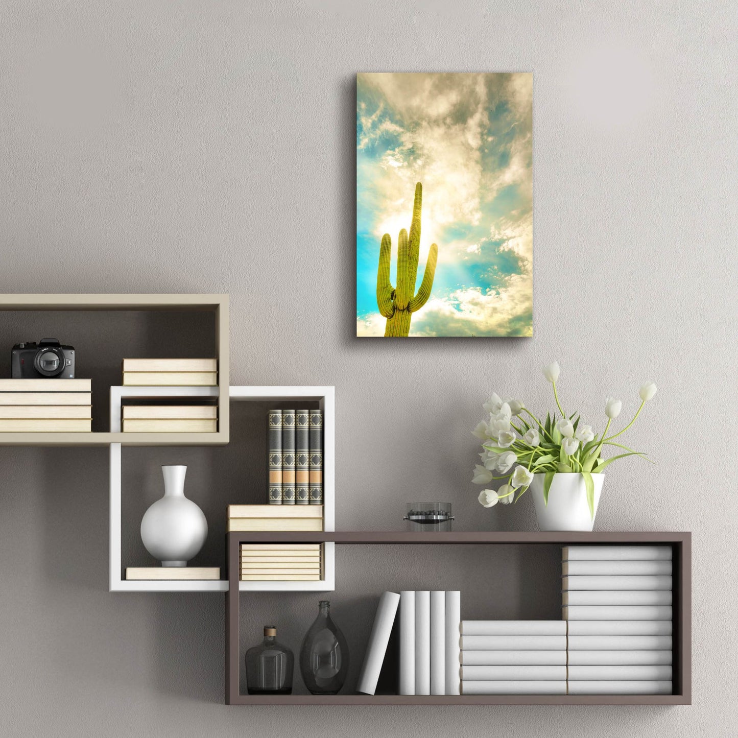 Epic Art 'Sun Burst Saguaro' by Mark A Paulda, Acrylic Glass Wall Art,16x24