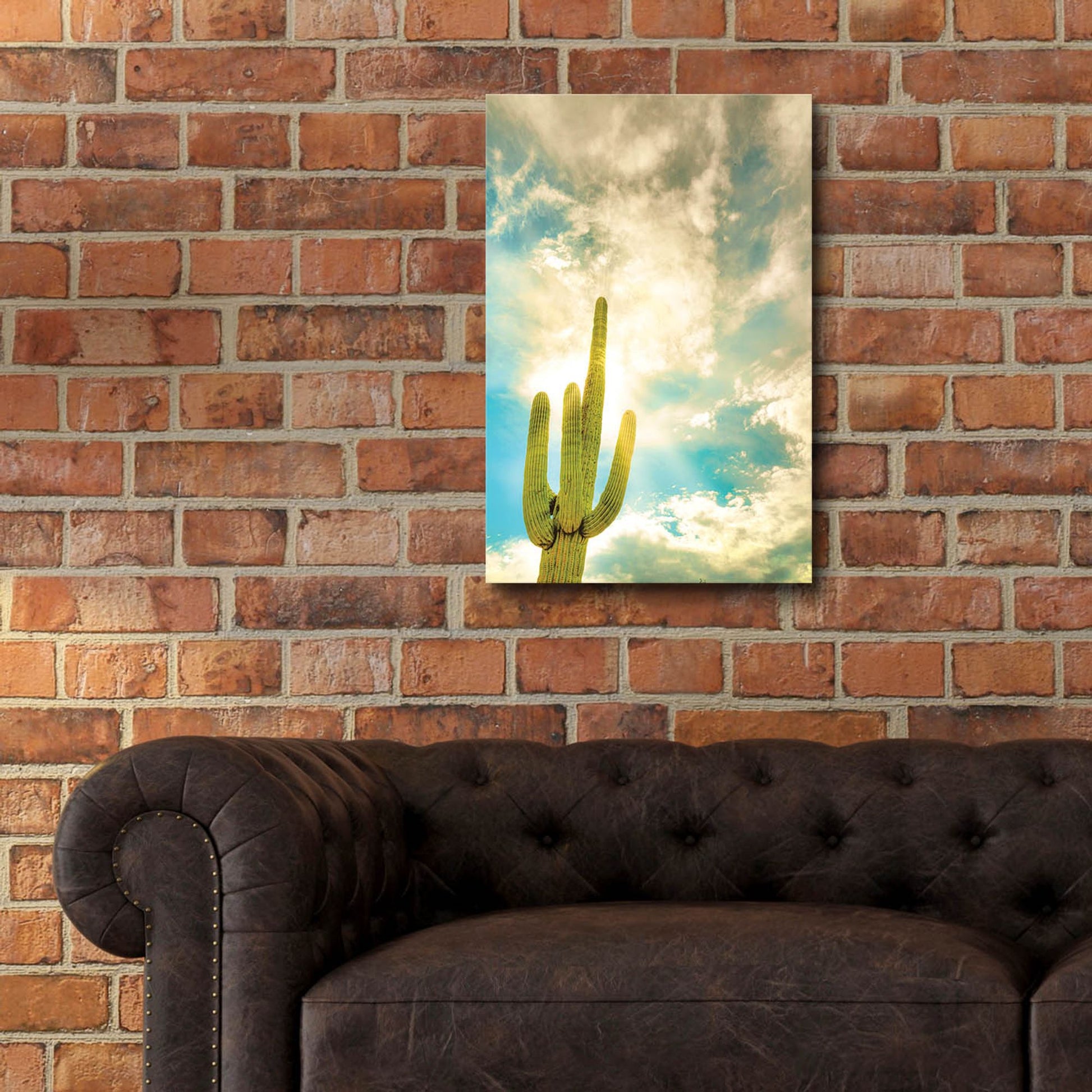 Epic Art 'Sun Burst Saguaro' by Mark A Paulda, Acrylic Glass Wall Art,16x24