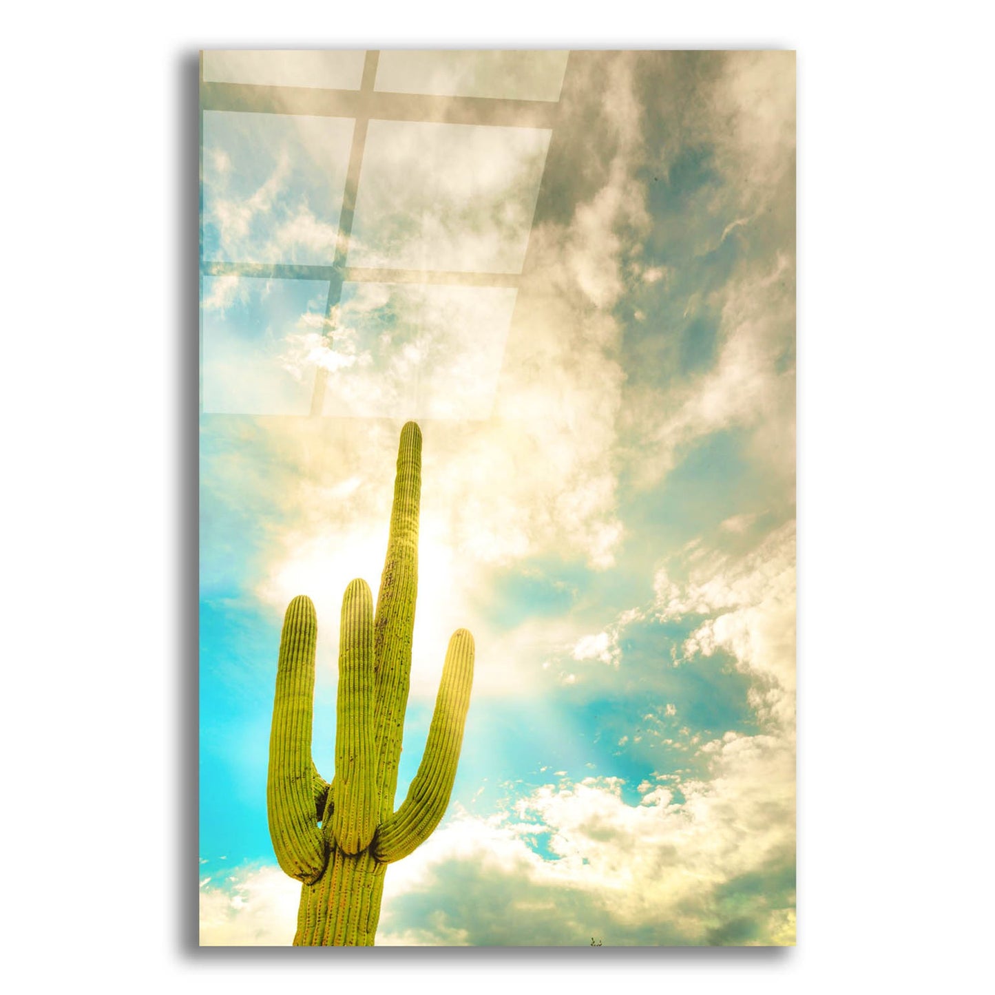 Epic Art 'Sun Burst Saguaro' by Mark A Paulda, Acrylic Glass Wall Art,16x24