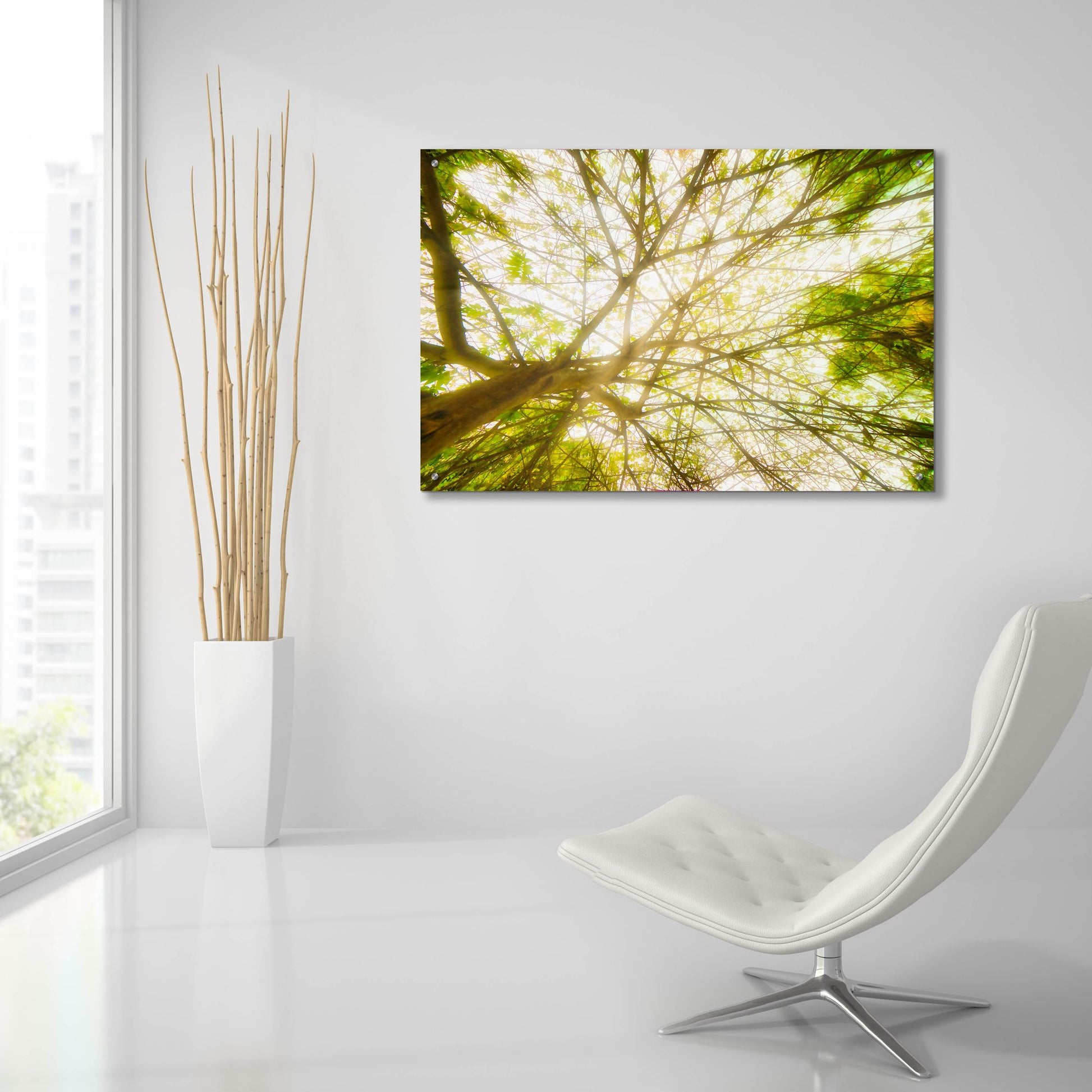 Epic Art 'Tropical Dream' by Mark A Paulda, Acrylic Glass Wall Art,36x24