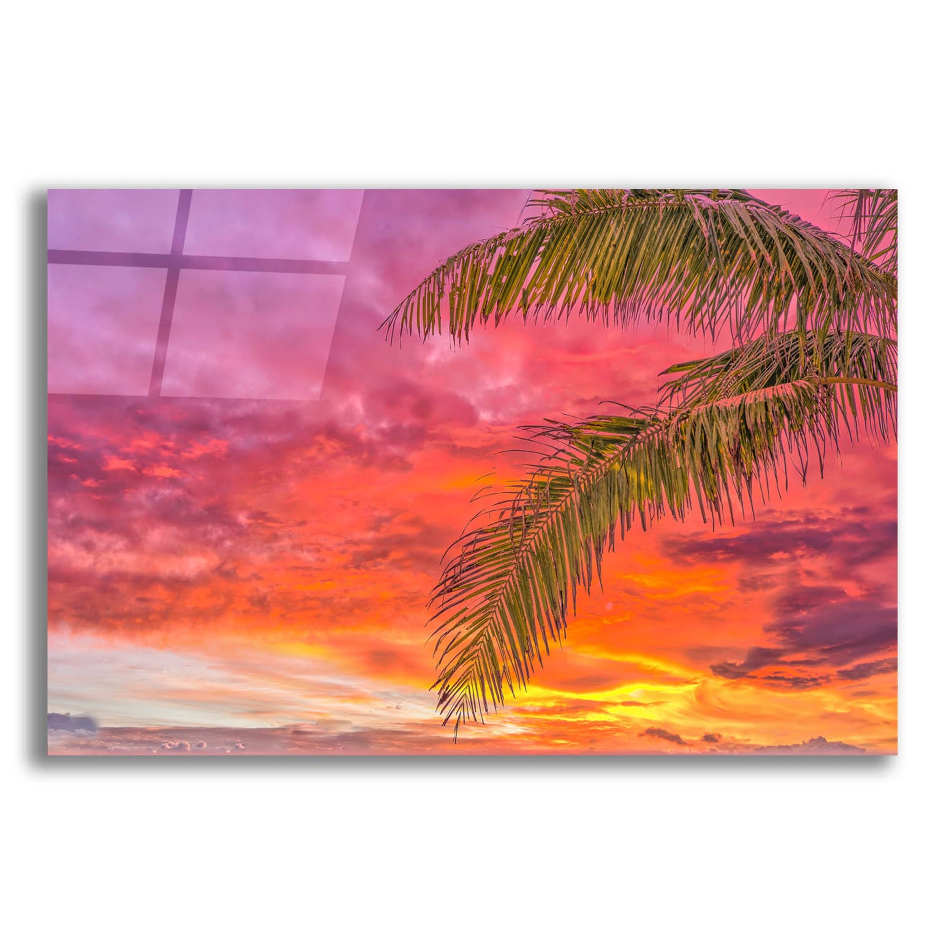 Epic Art 'Tropical Treat' by Mark A Paulda, Acrylic Glass Wall Art,16x12