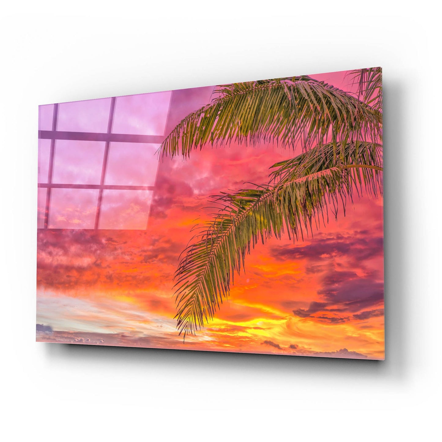 Epic Art 'Tropical Treat' by Mark A Paulda, Acrylic Glass Wall Art,24x16