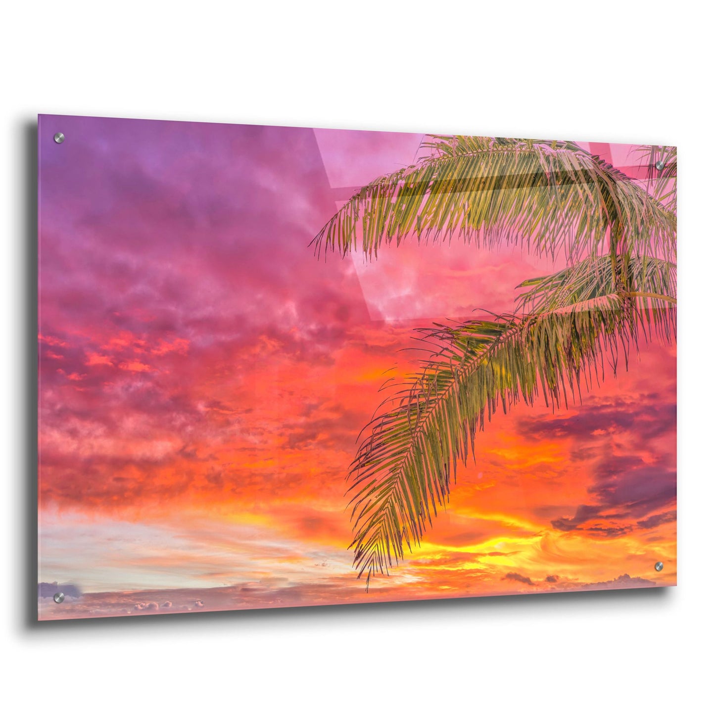 Epic Art 'Tropical Treat' by Mark A Paulda, Acrylic Glass Wall Art,36x24