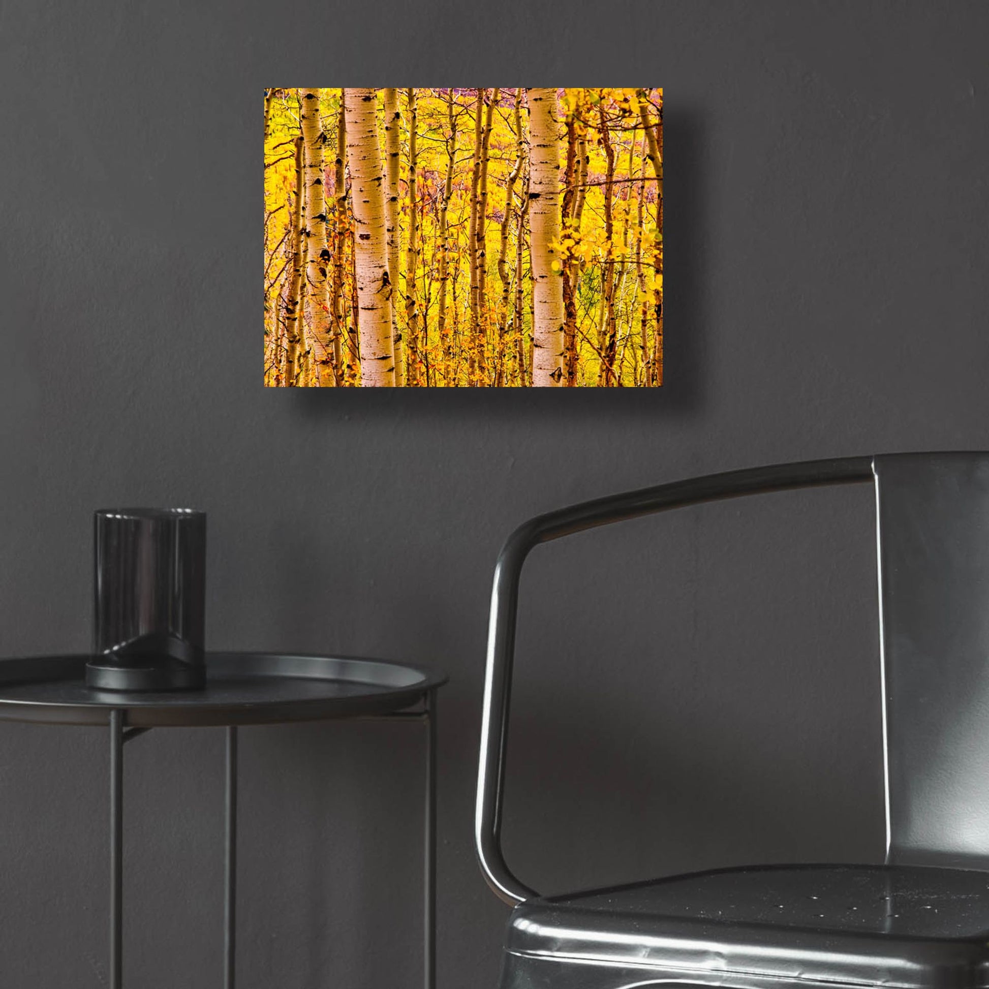 Epic Art 'Aspen Autumn' by Mark A Paulda, Acrylic Glass Wall Art,16x12