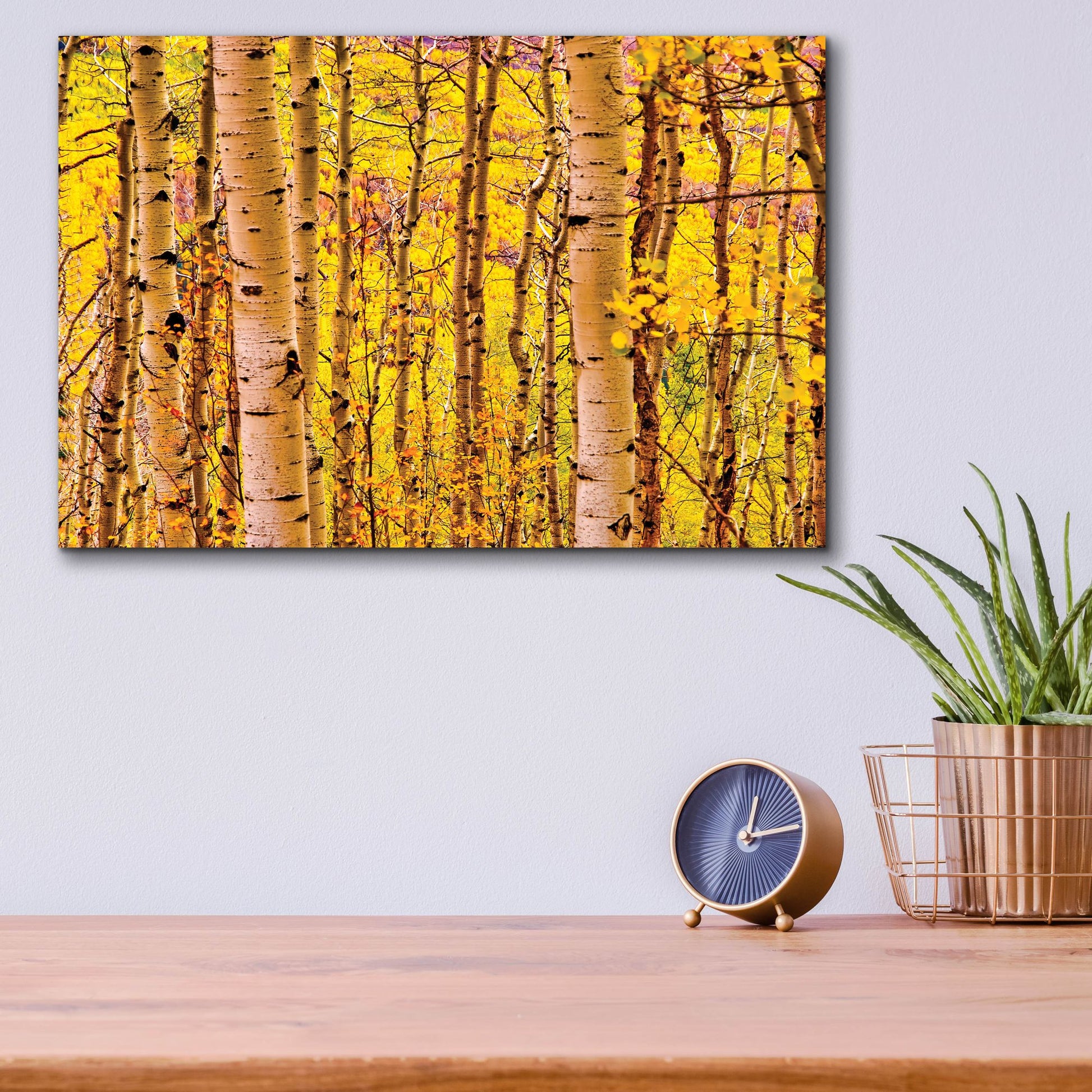 Epic Art 'Aspen Autumn' by Mark A Paulda, Acrylic Glass Wall Art,16x12