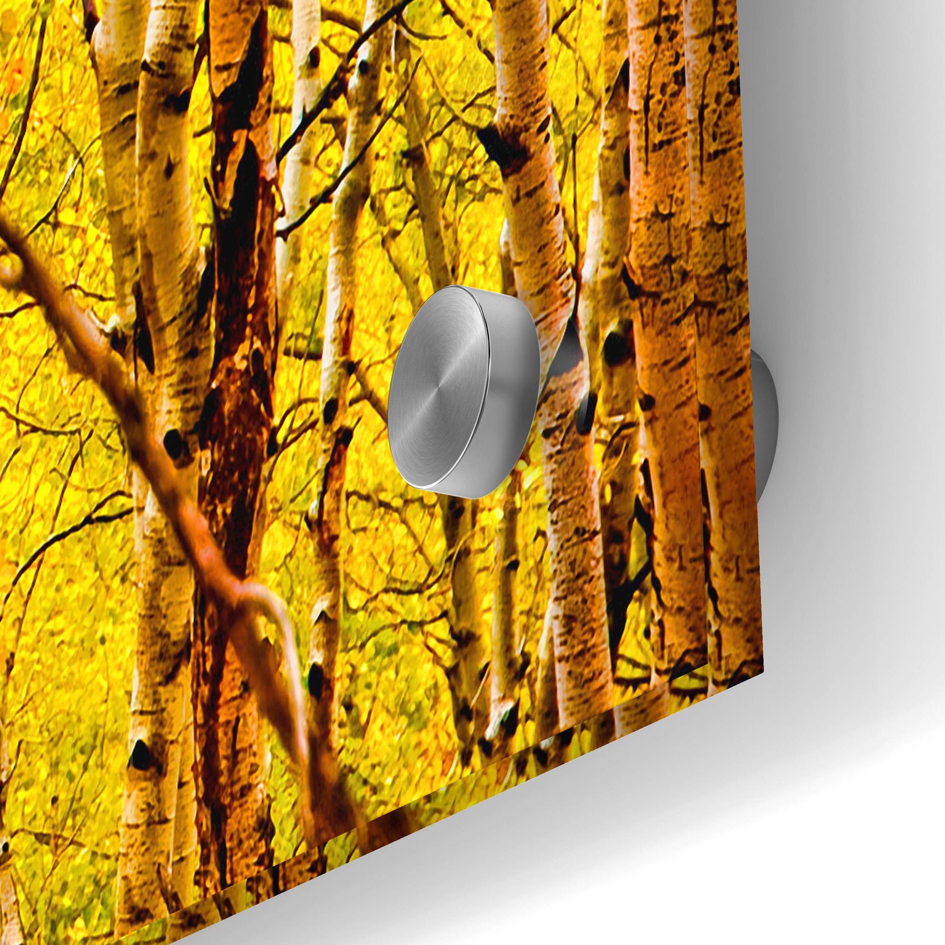 Epic Art 'Aspen Autumn' by Mark A Paulda, Acrylic Glass Wall Art,36x24