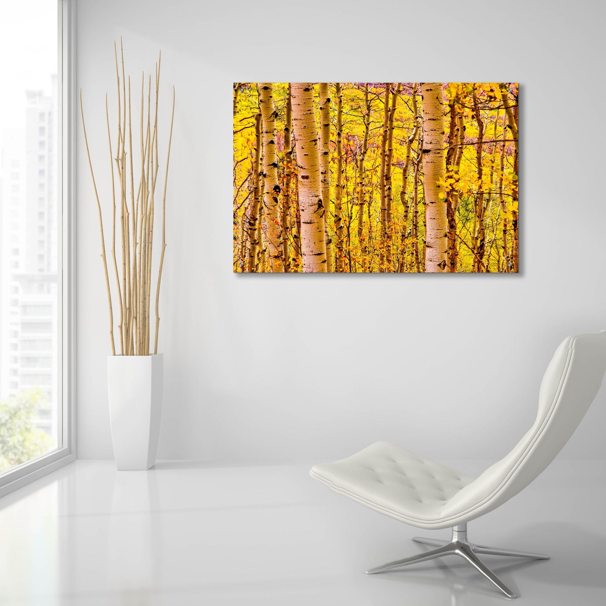 Epic Art 'Aspen Autumn' by Mark A Paulda, Acrylic Glass Wall Art,36x24