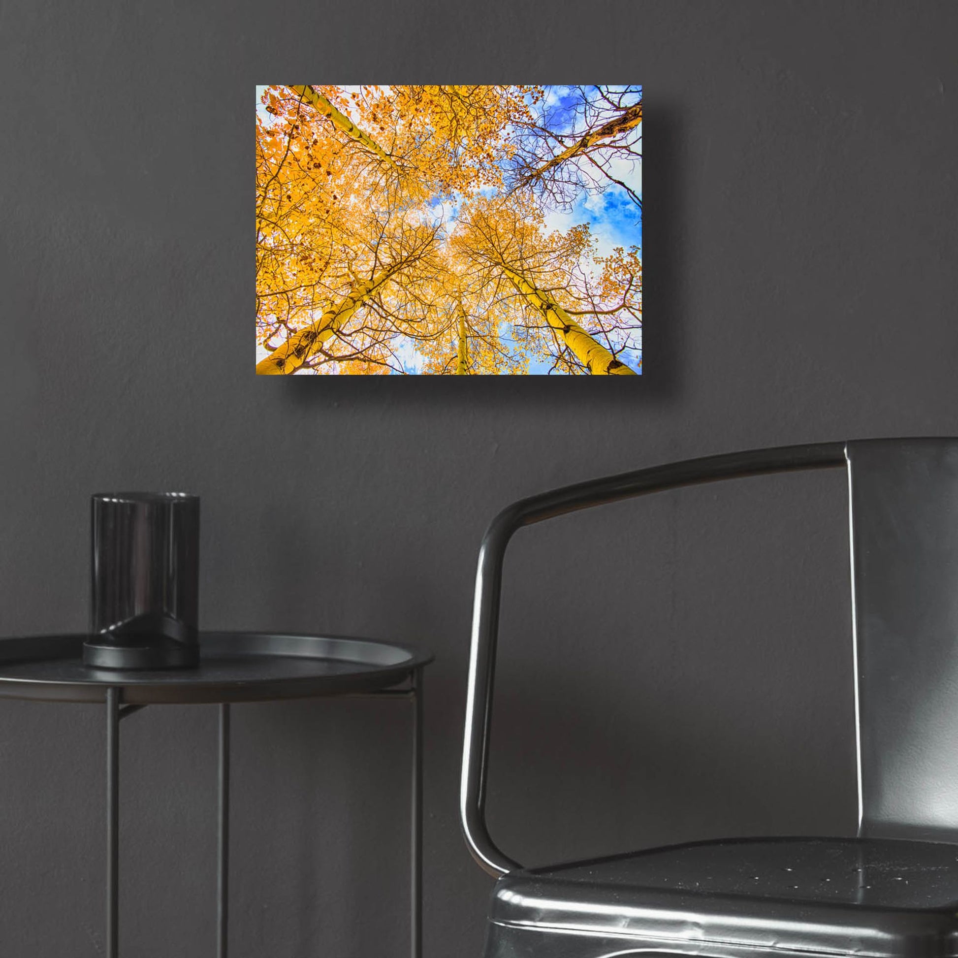 Epic Art 'Autumn Aspens' by Mark A Paulda, Acrylic Glass Wall Art,16x12