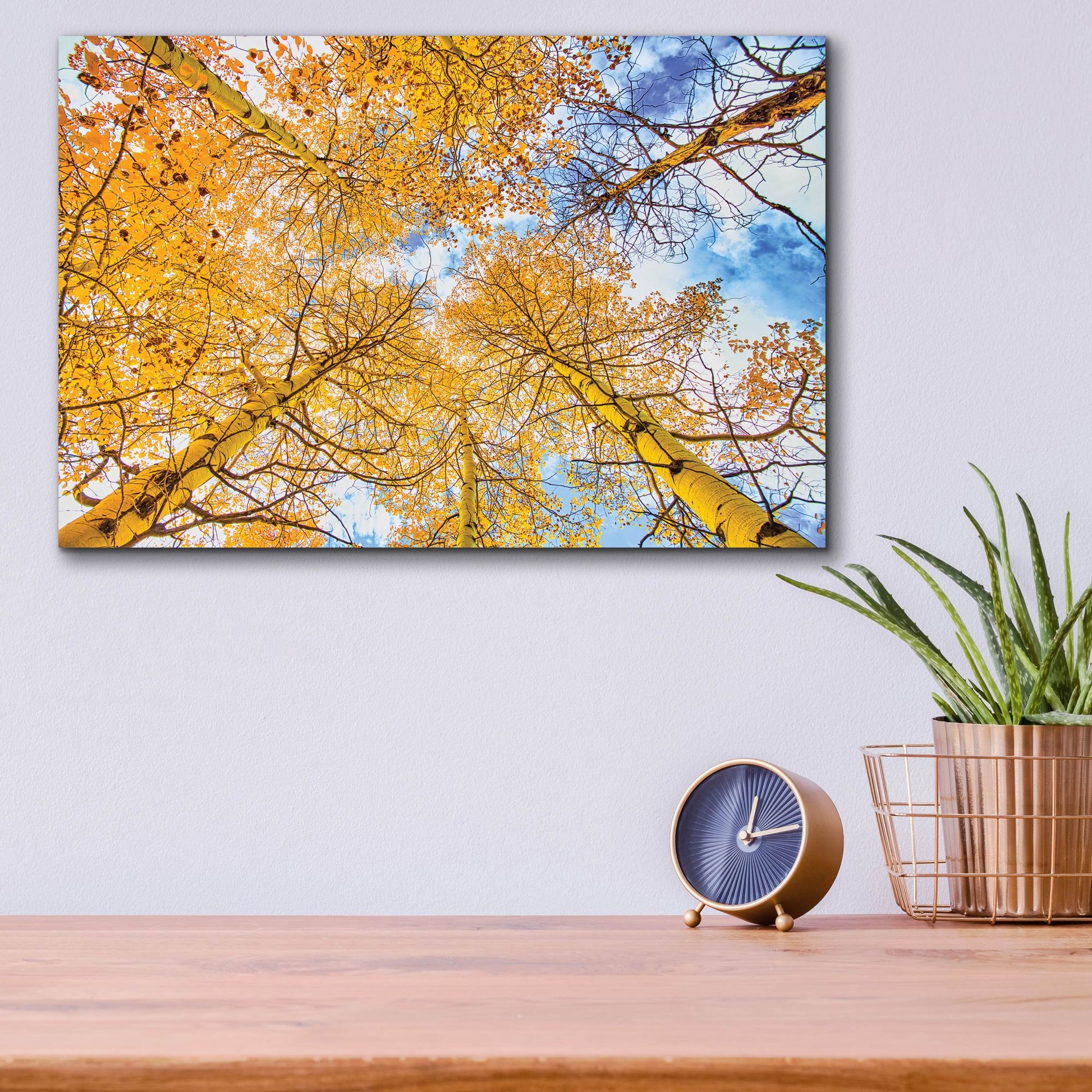 Epic Art 'Autumn Aspens' by Mark A Paulda, Acrylic Glass Wall Art,16x12