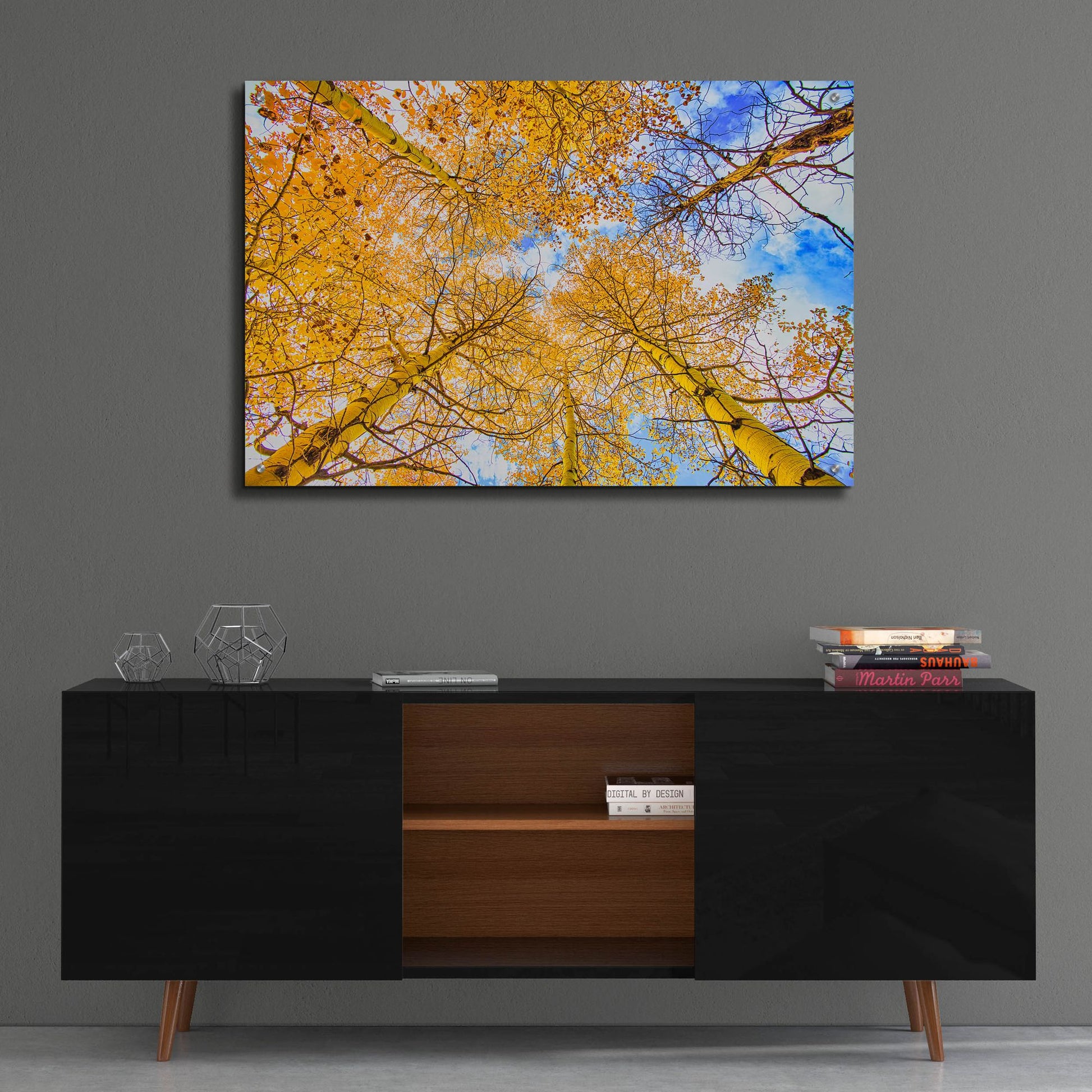 Epic Art 'Autumn Aspens' by Mark A Paulda, Acrylic Glass Wall Art,36x24