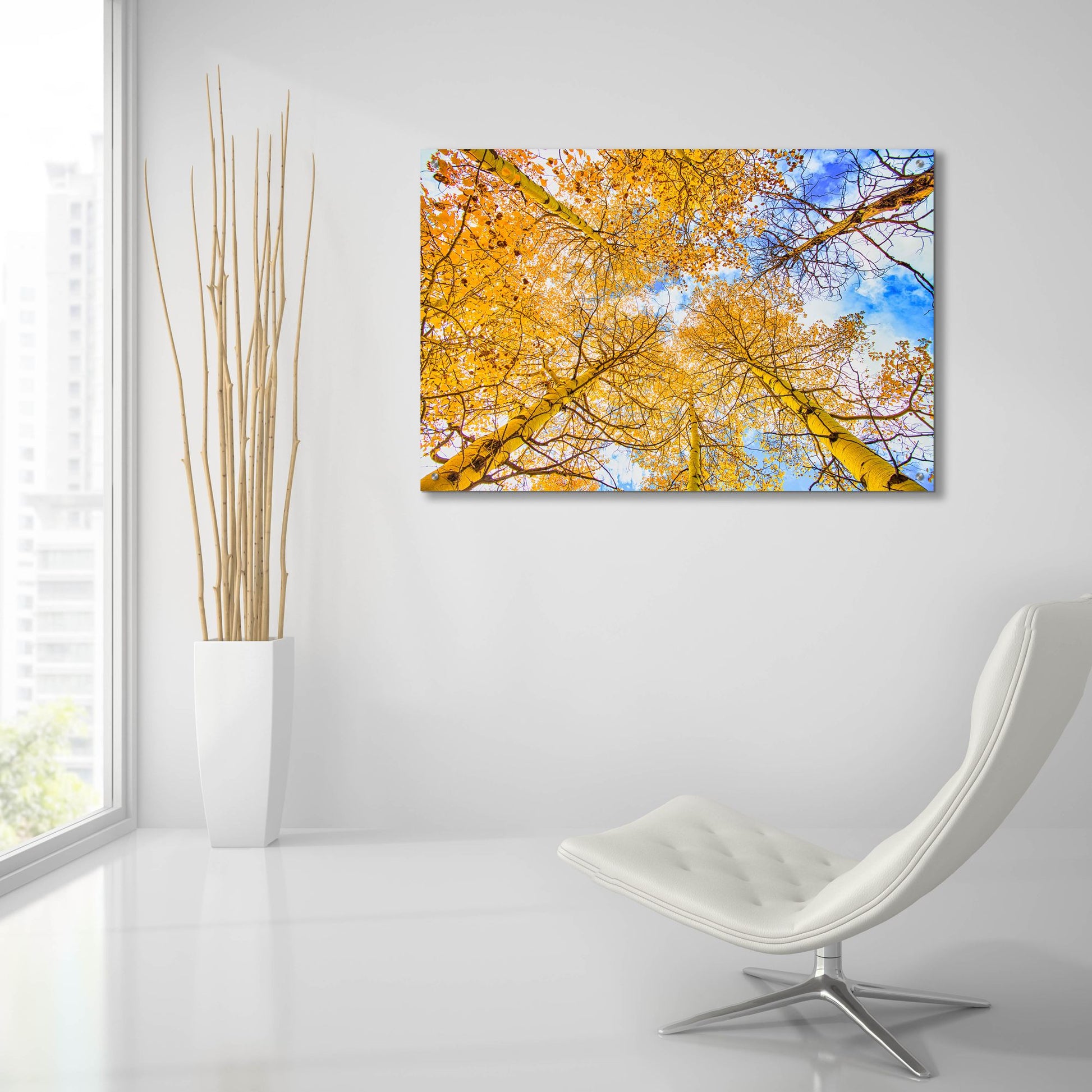 Epic Art 'Autumn Aspens' by Mark A Paulda, Acrylic Glass Wall Art,36x24