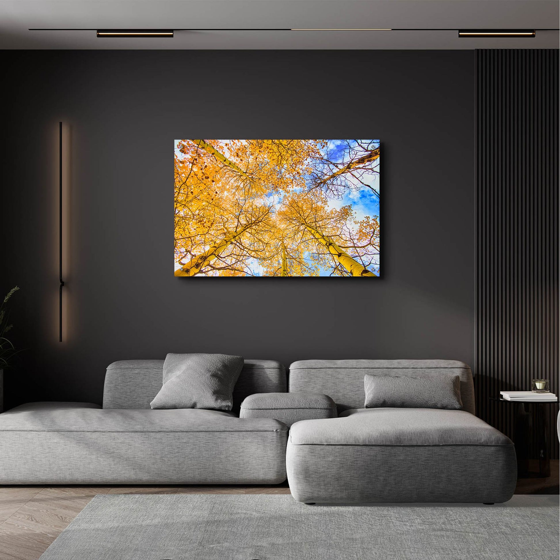 Epic Art 'Autumn Aspens' by Mark A Paulda, Acrylic Glass Wall Art,36x24