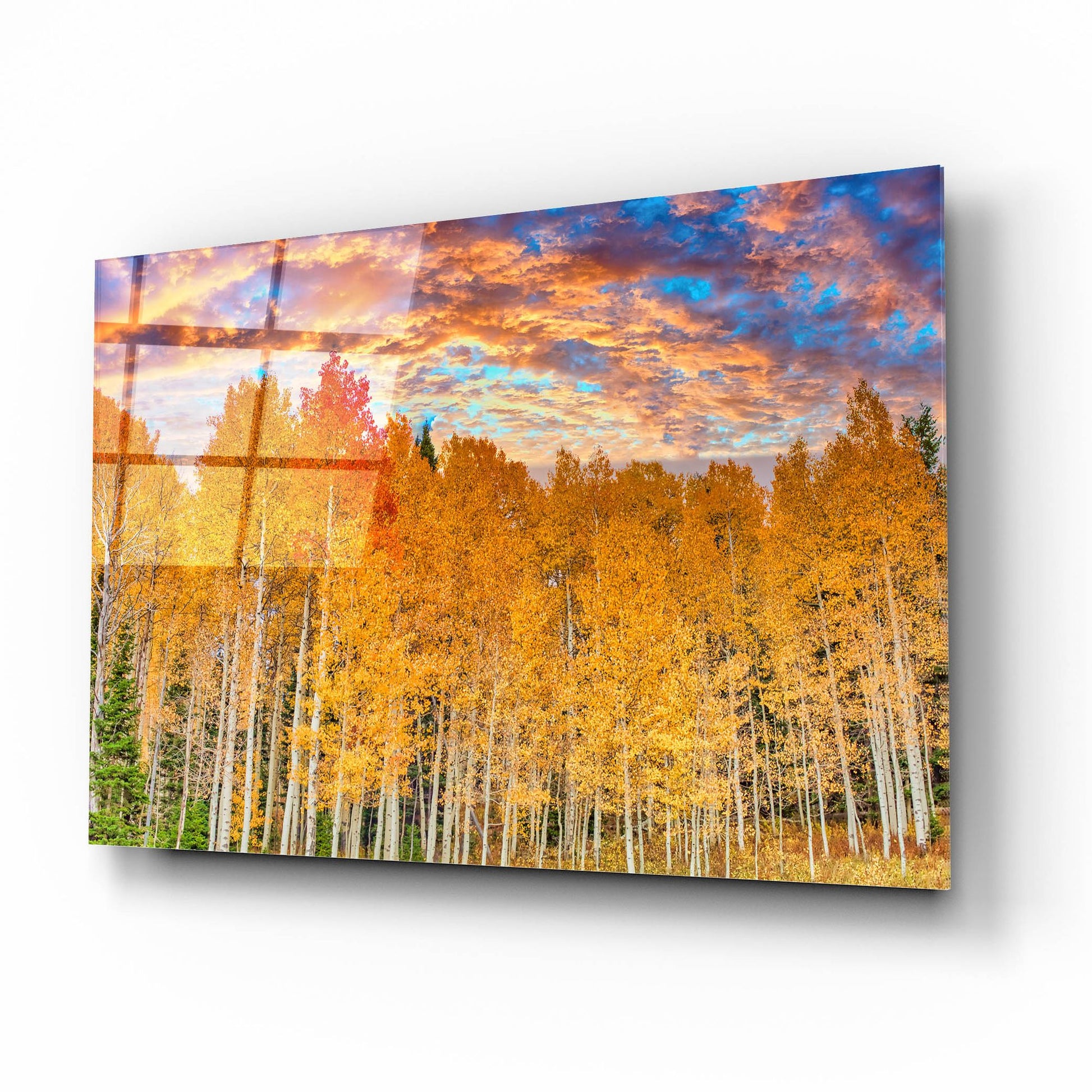 Epic Art 'Wyoming Autumn Aspens' by Mark A Paulda, Acrylic Glass Wall Art,16x12