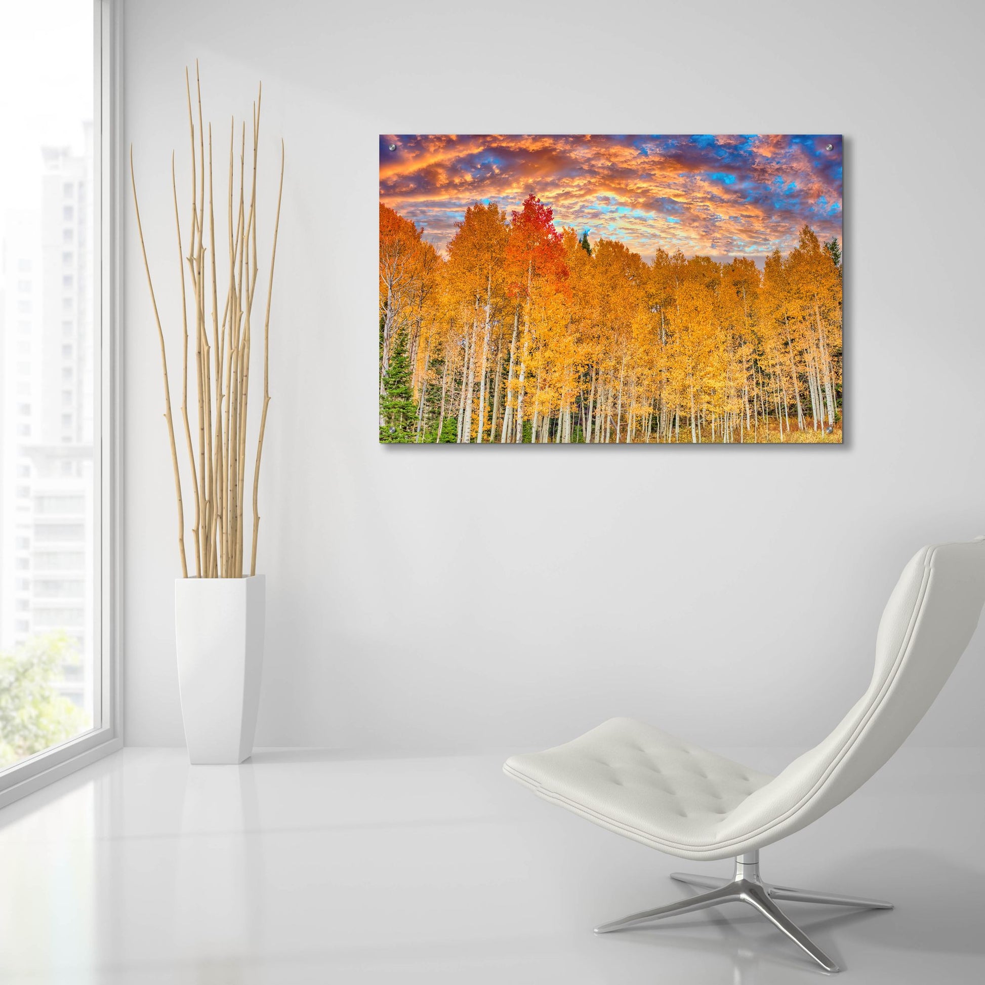 Epic Art 'Wyoming Autumn Aspens' by Mark A Paulda, Acrylic Glass Wall Art,36x24