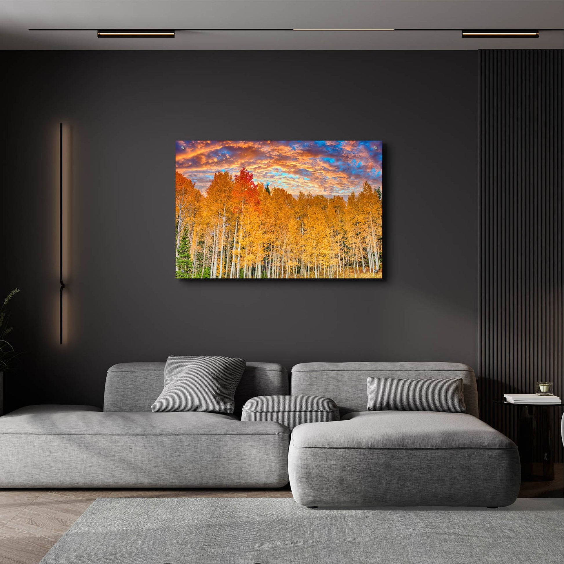 Epic Art 'Wyoming Autumn Aspens' by Mark A Paulda, Acrylic Glass Wall Art,36x24