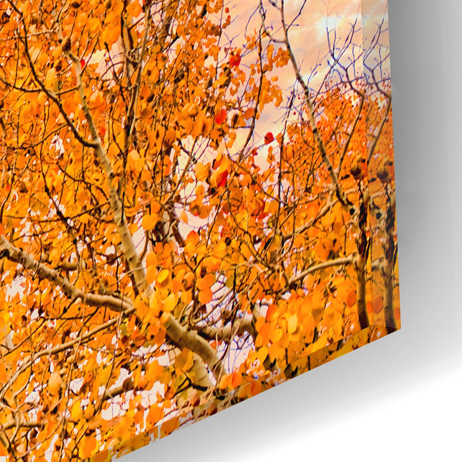 Epic Art 'Wyoming Autumn' by Mark A Paulda, Acrylic Glass Wall Art,16x12