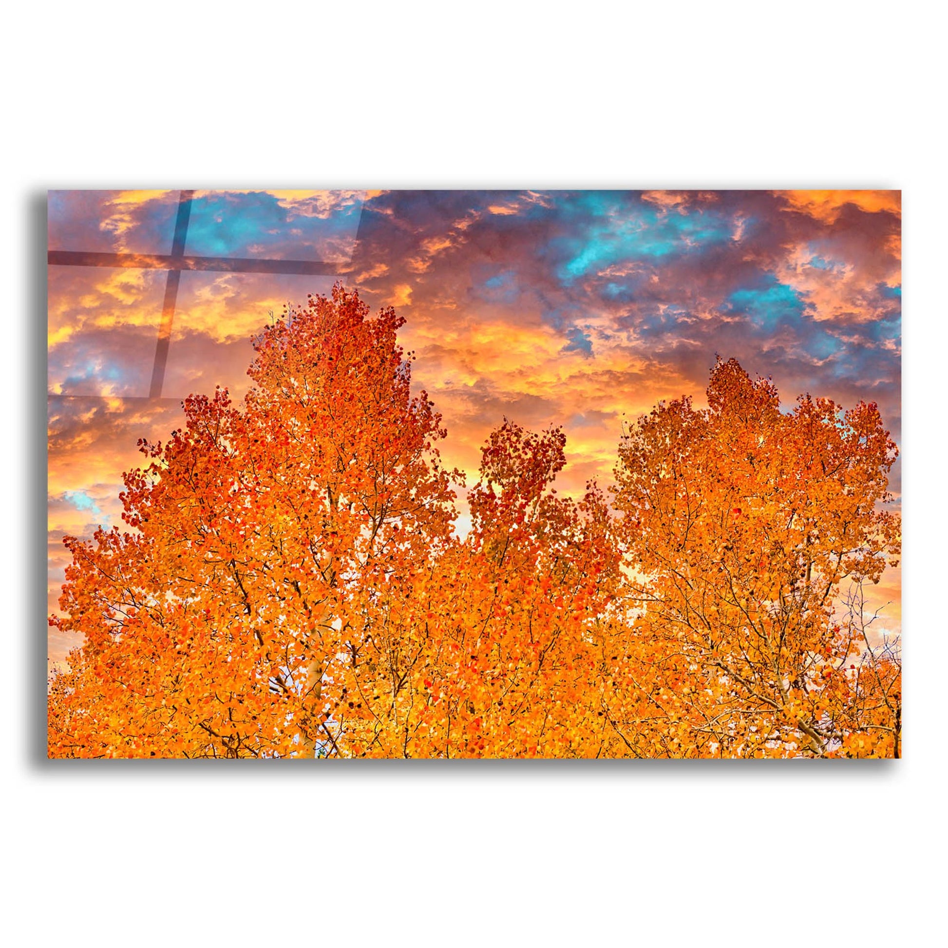 Epic Art 'Wyoming Autumn' by Mark A Paulda, Acrylic Glass Wall Art,16x12