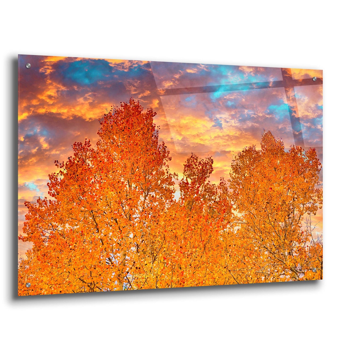 Epic Art 'Wyoming Autumn' by Mark A Paulda, Acrylic Glass Wall Art,36x24