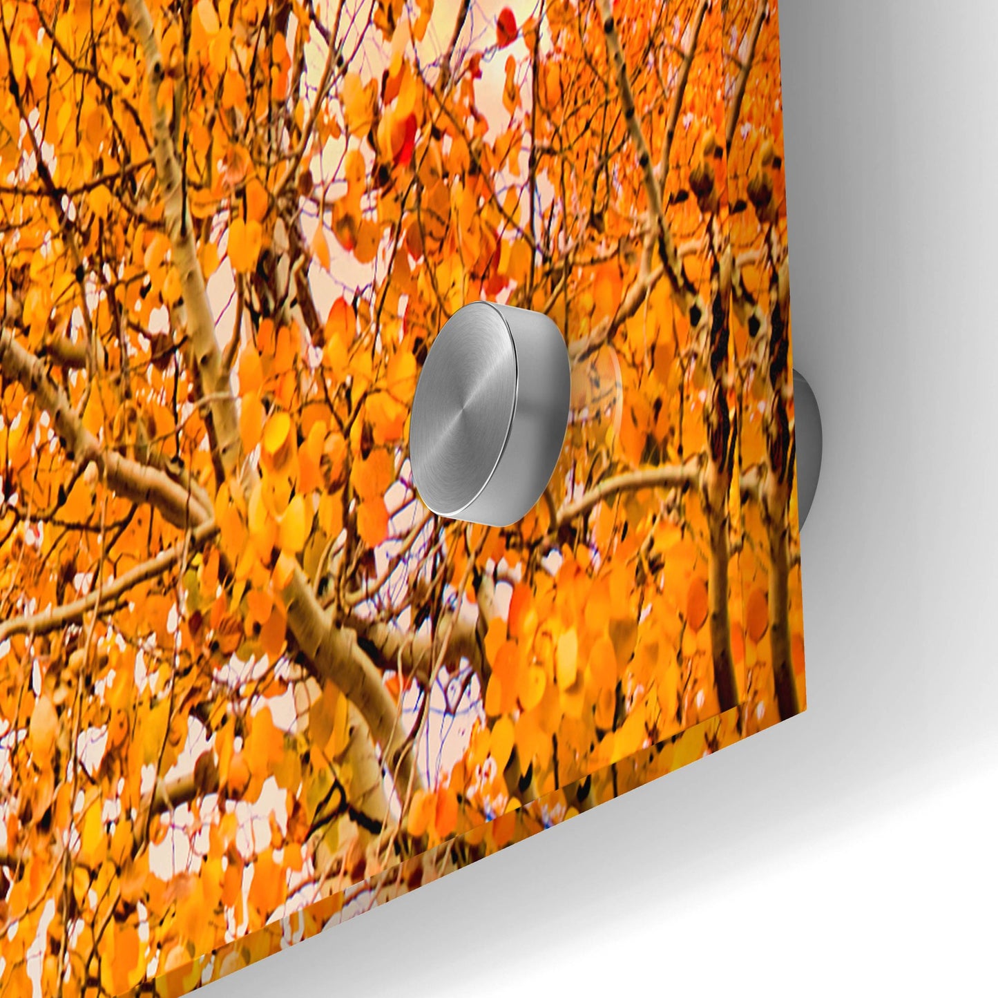 Epic Art 'Wyoming Autumn' by Mark A Paulda, Acrylic Glass Wall Art,36x24