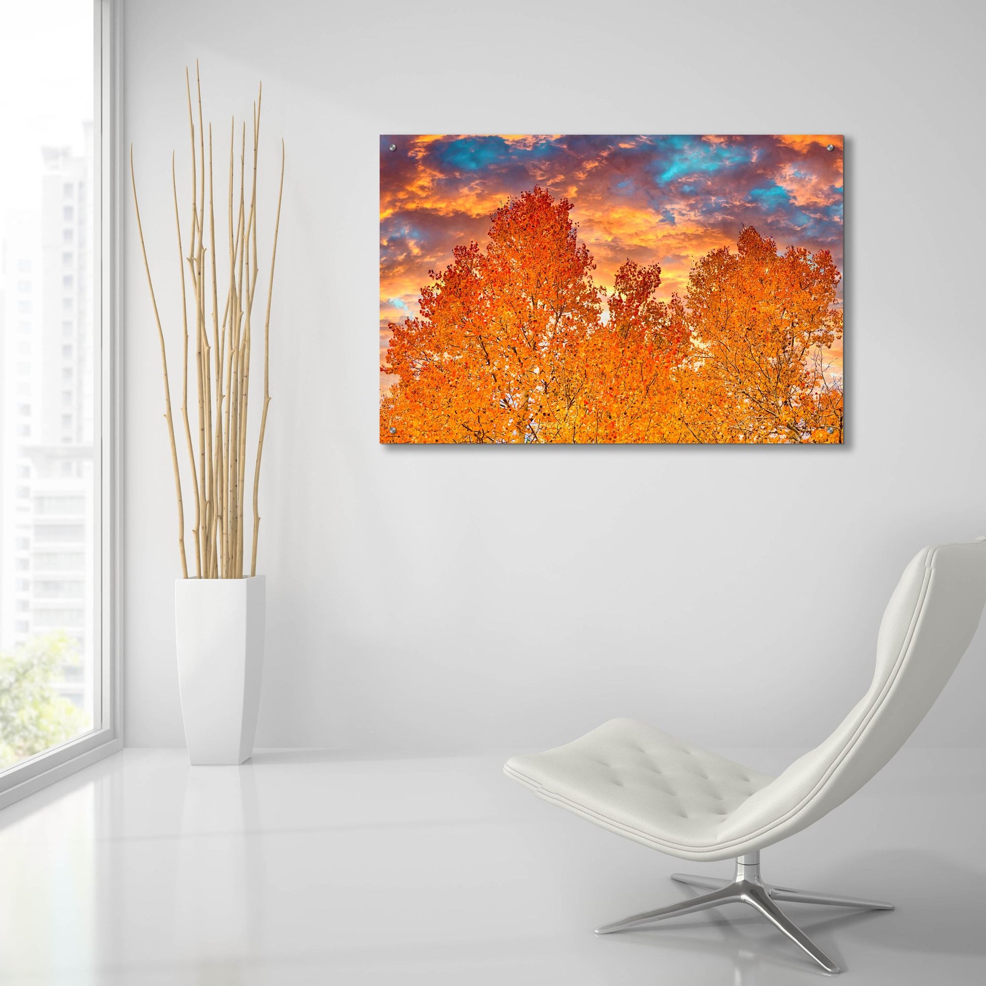 Epic Art 'Wyoming Autumn' by Mark A Paulda, Acrylic Glass Wall Art,36x24