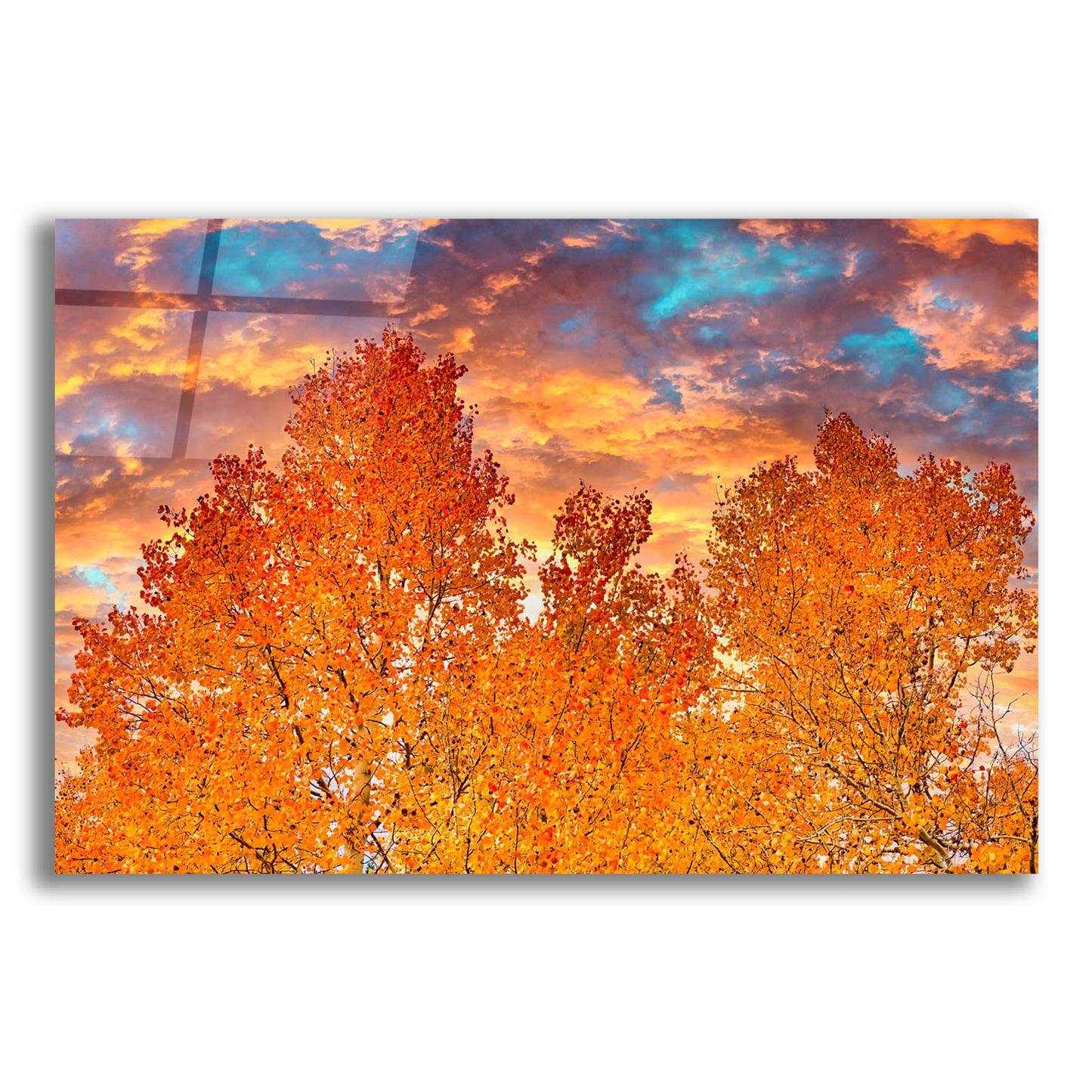 Epic Art 'Wyoming Autumn' by Mark A Paulda, Acrylic Glass Wall Art