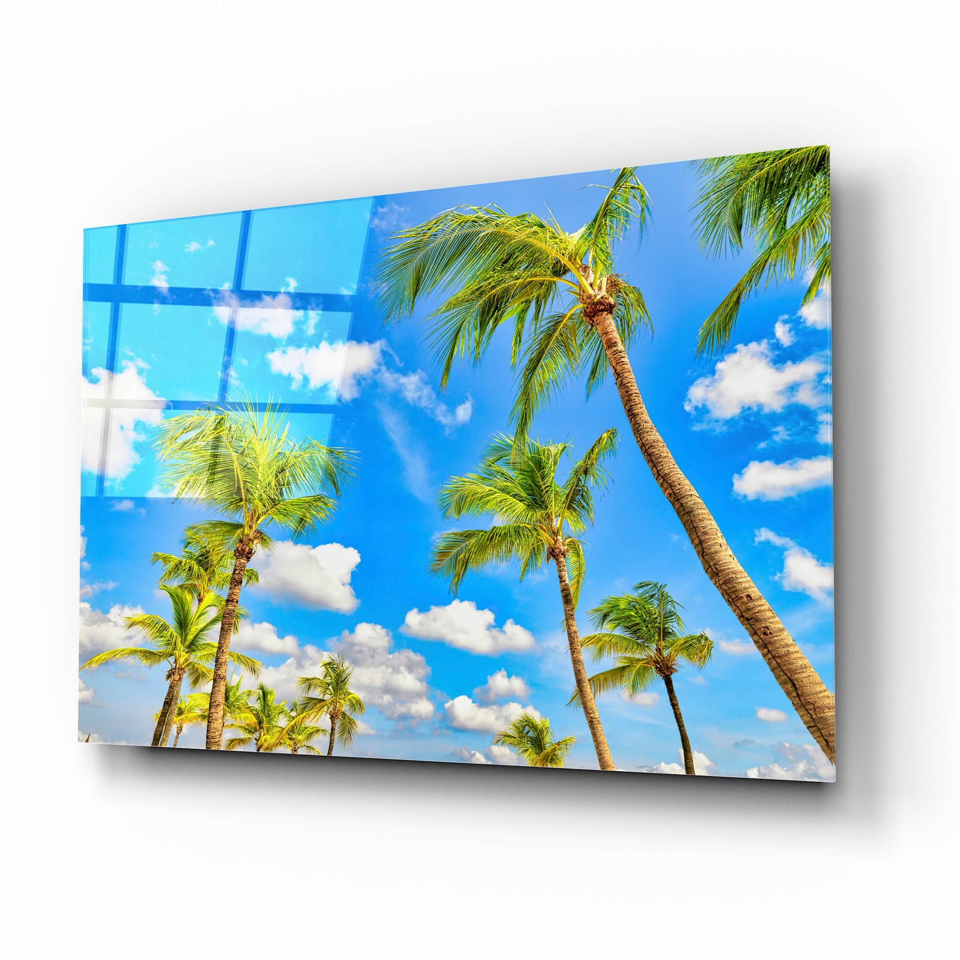 Epic Art 'Aruba Sunny Palms' by Mark A Paulda, Acrylic Glass Wall Art,16x12