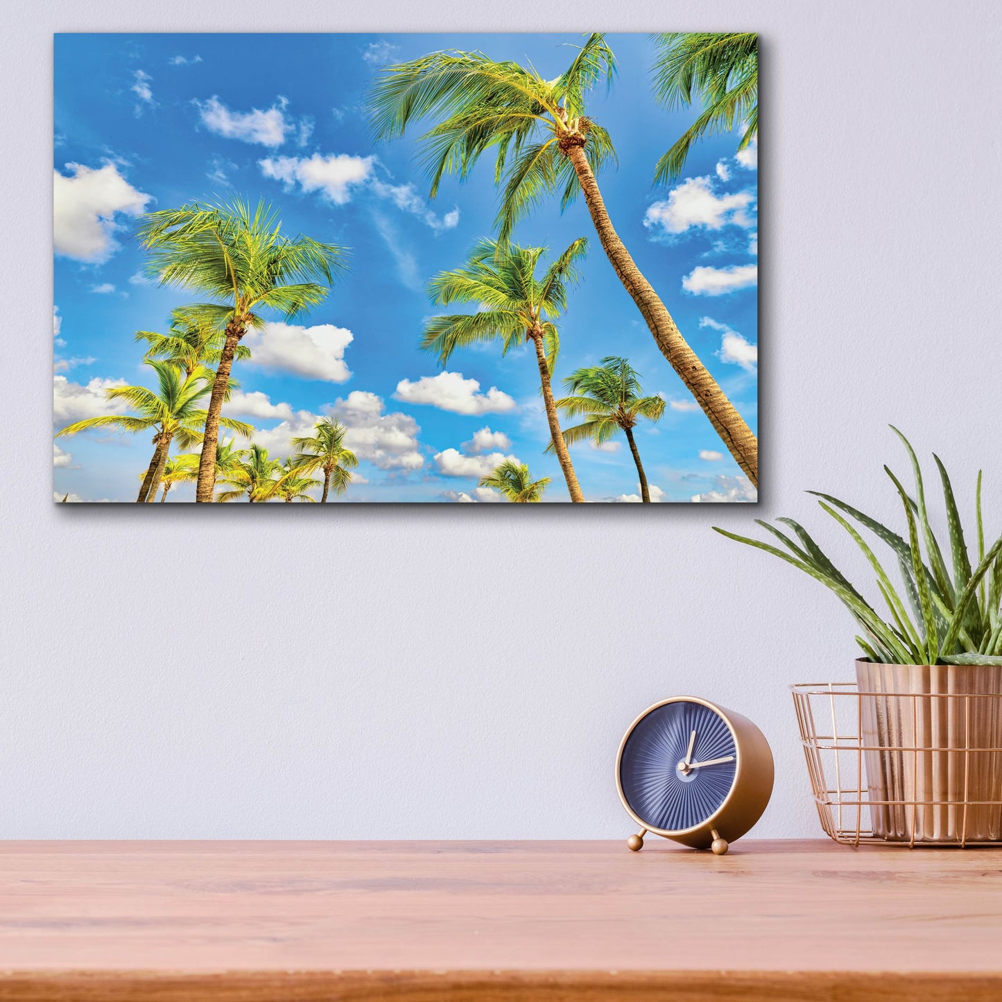 Epic Art 'Aruba Sunny Palms' by Mark A Paulda, Acrylic Glass Wall Art,16x12