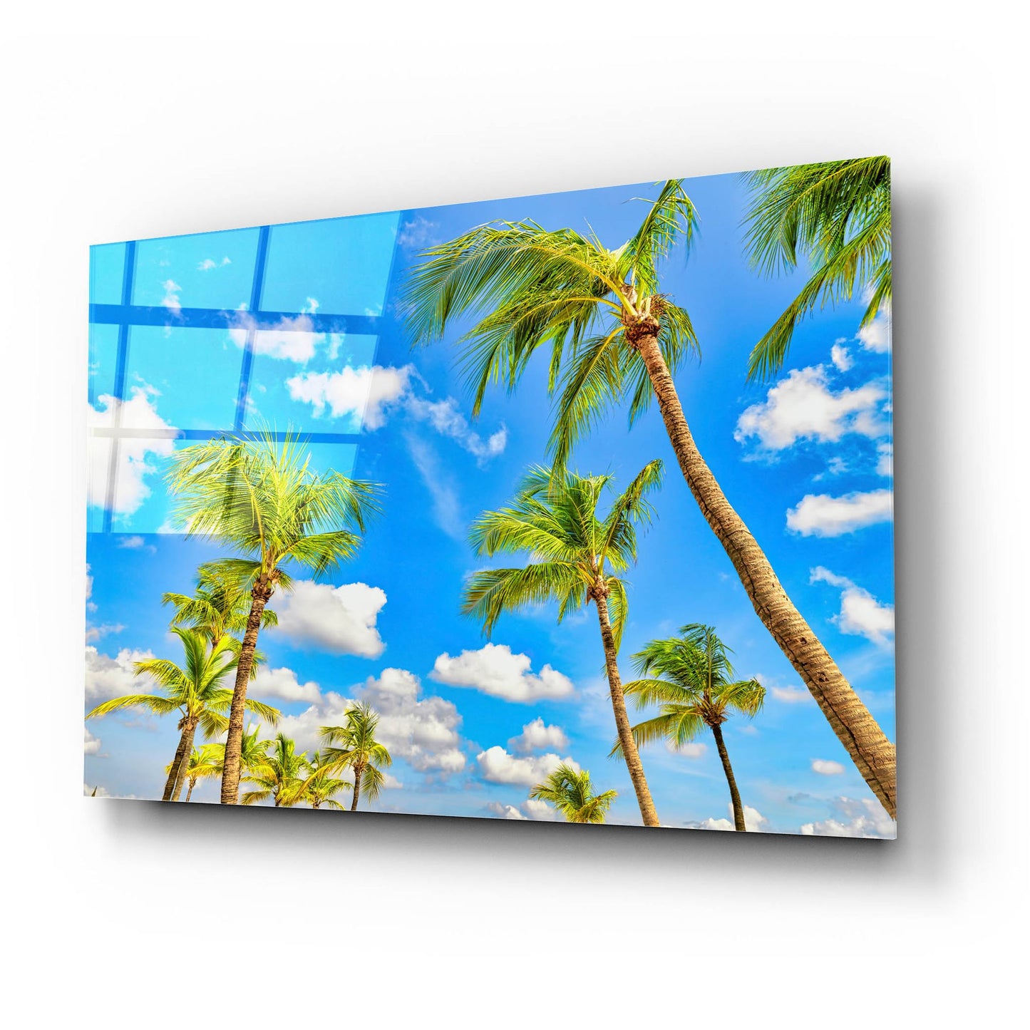 Epic Art 'Aruba Sunny Palms' by Mark A Paulda, Acrylic Glass Wall Art,24x16