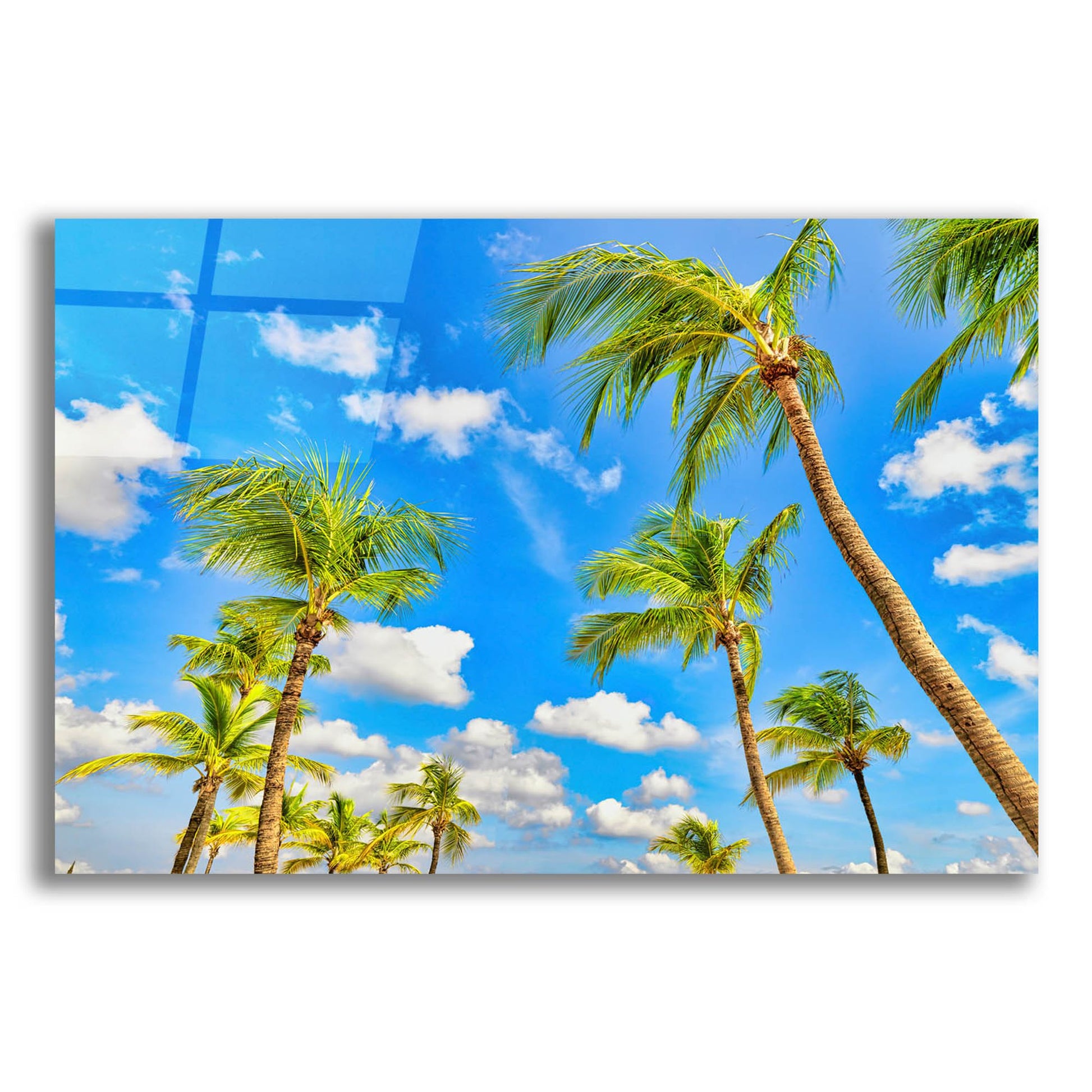 Epic Art 'Aruba Sunny Palms' by Mark A Paulda, Acrylic Glass Wall Art,24x16