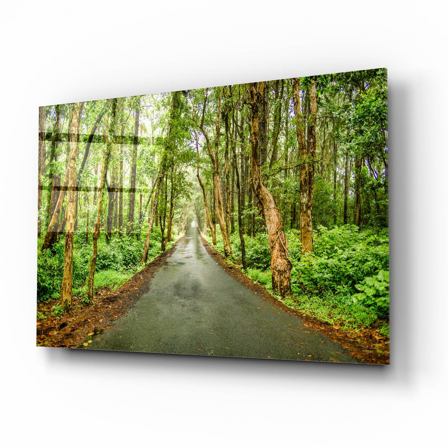 Epic Art 'Tropical Mauritius Road' by Mark A Paulda, Acrylic Glass Wall Art,16x12