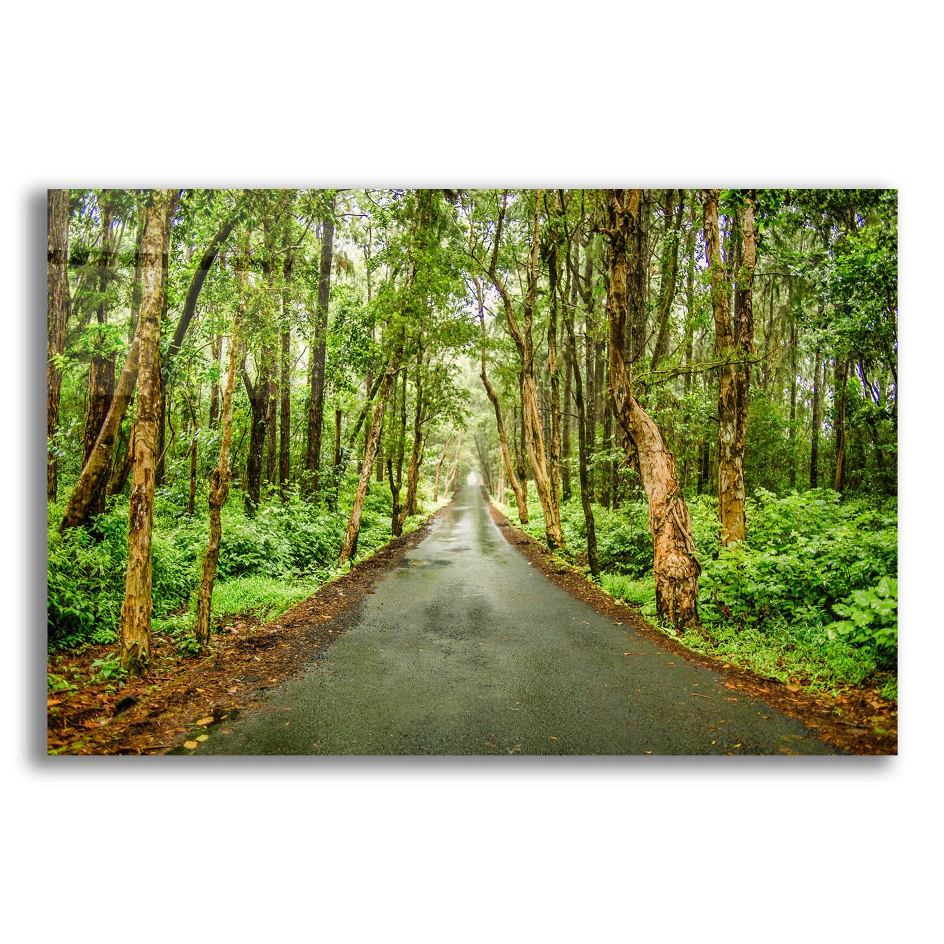 Epic Art 'Tropical Mauritius Road' by Mark A Paulda, Acrylic Glass Wall Art,16x12