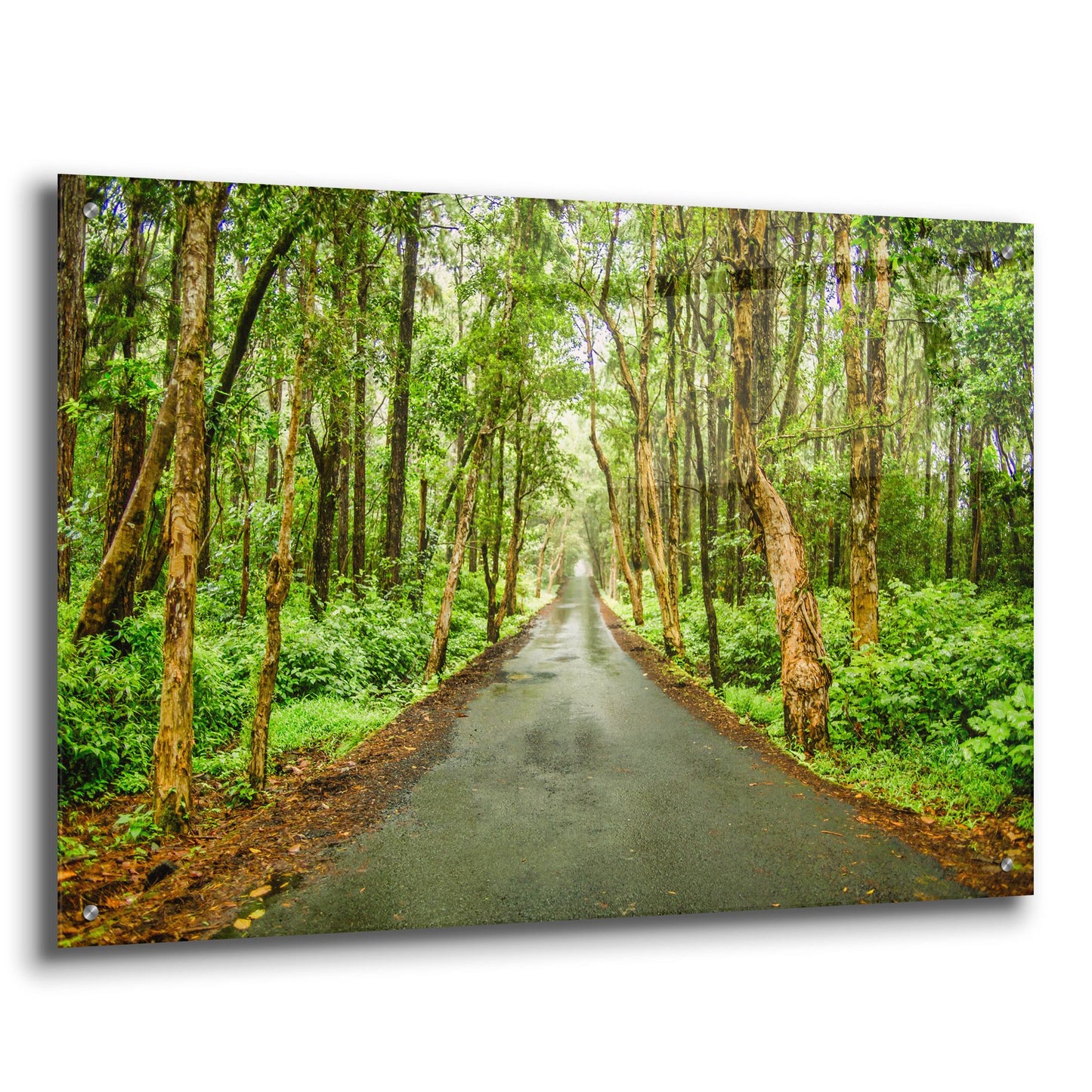 Epic Art 'Tropical Mauritius Road' by Mark A Paulda, Acrylic Glass Wall Art,36x24